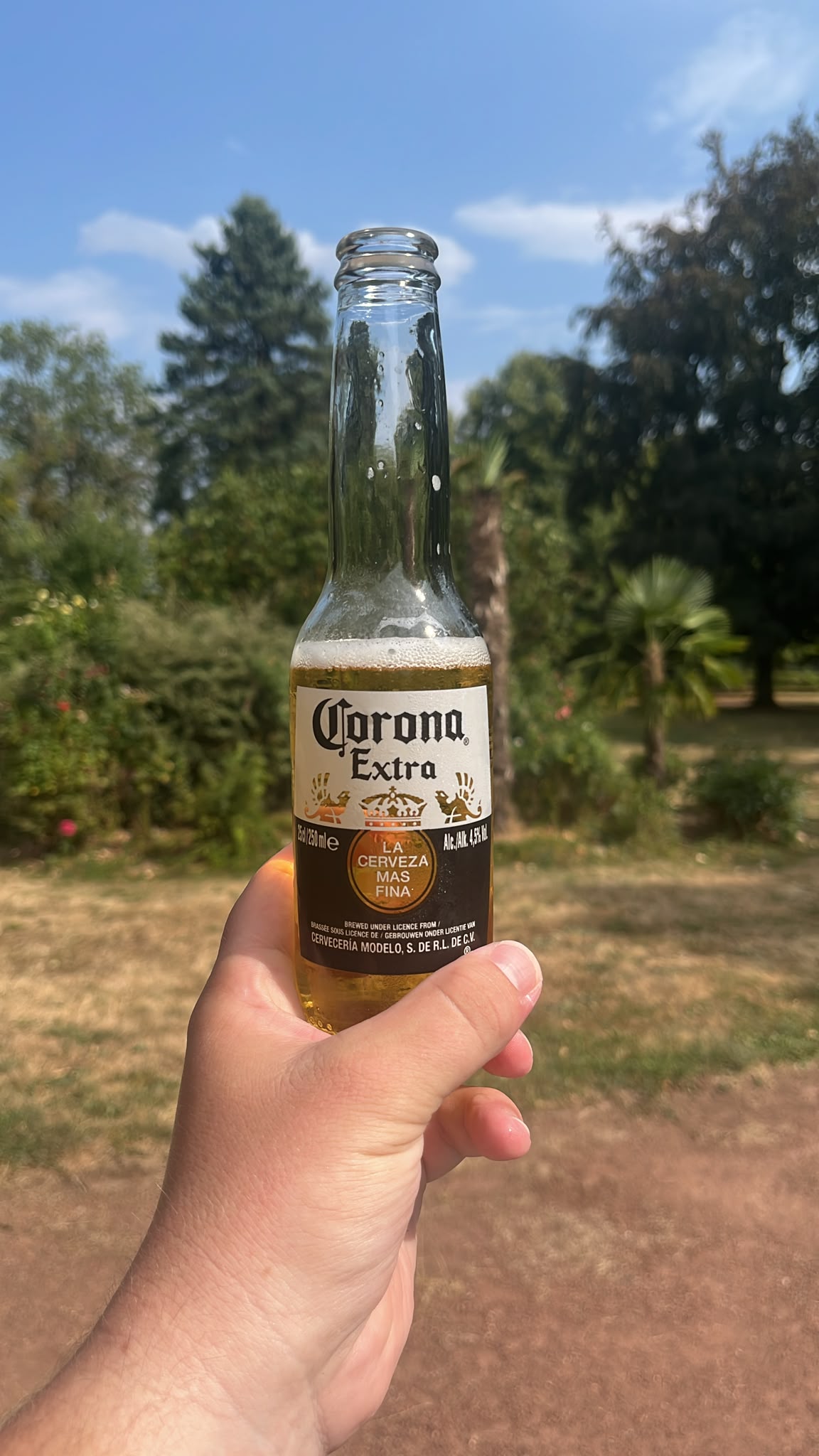 Beer #35473