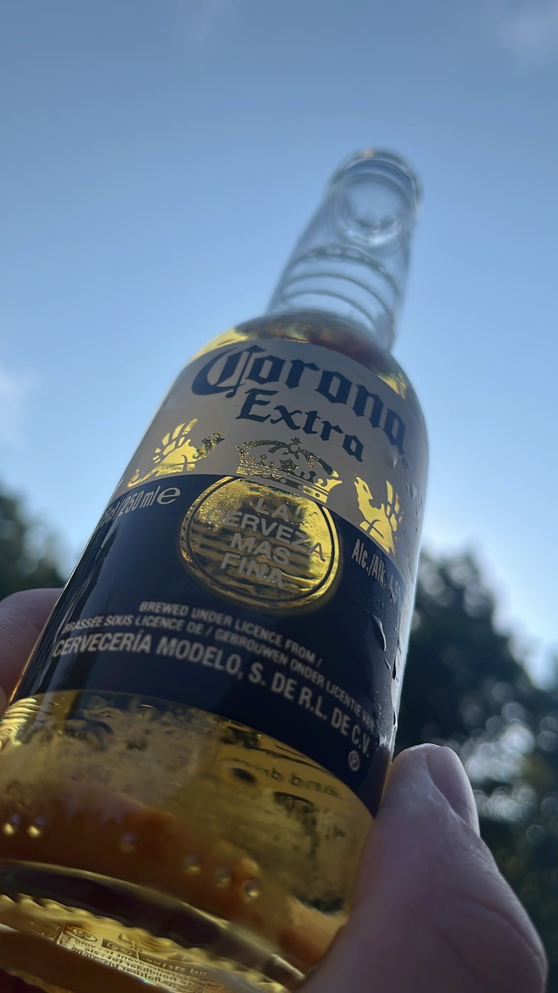 Beer #35535