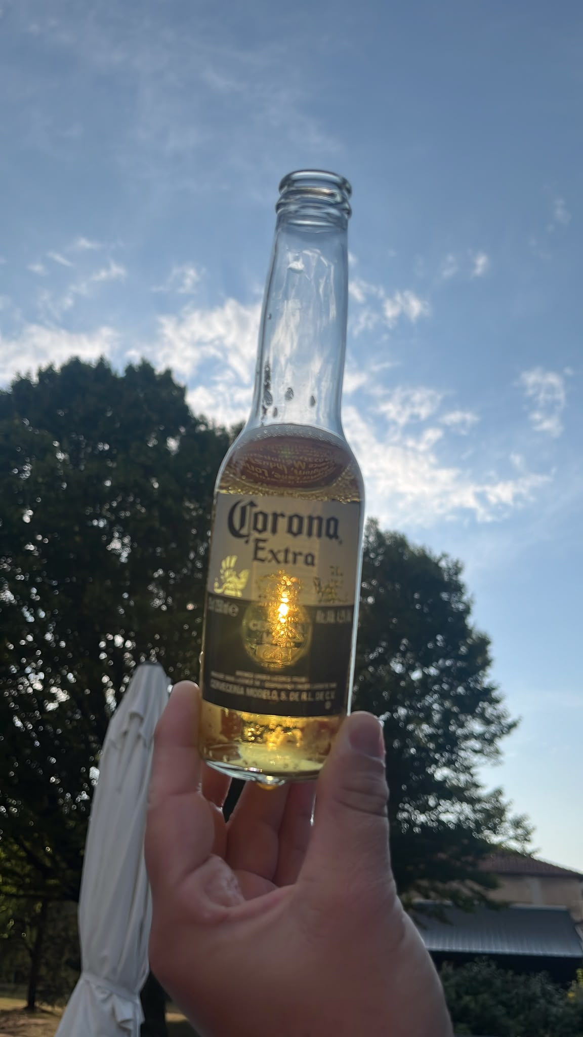 Beer #35569