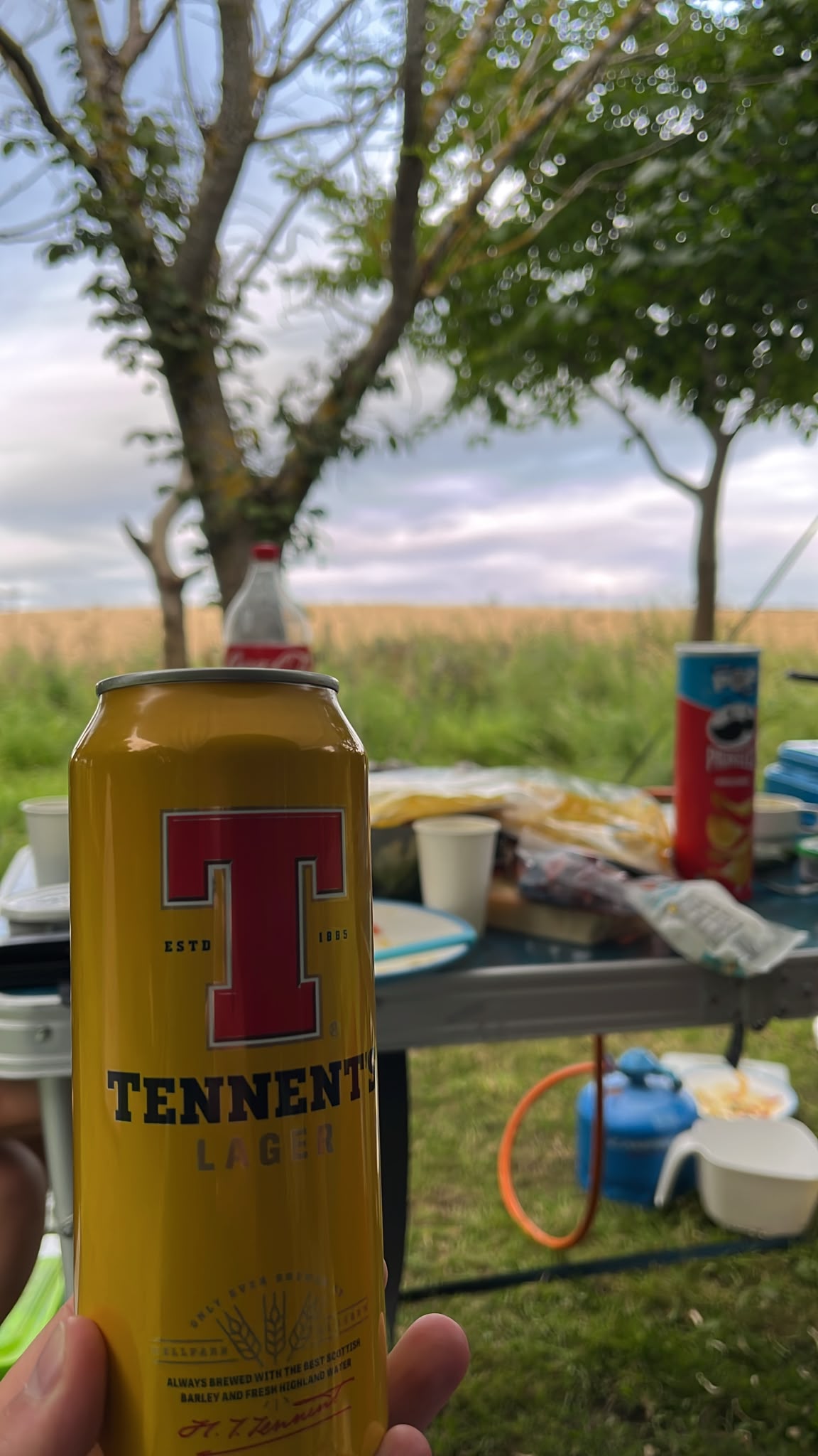 Beer #36331