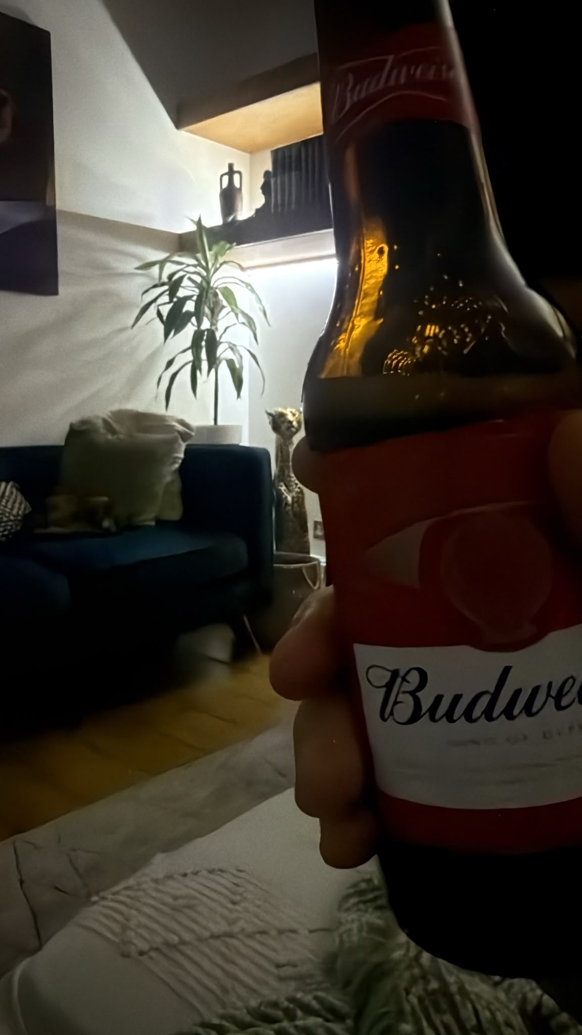 Beer #36507