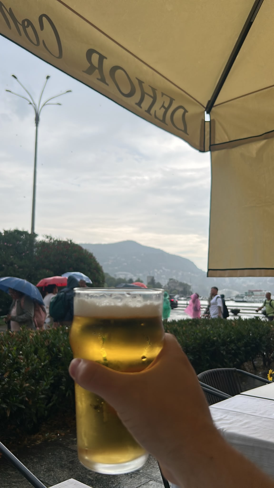 Beer #36587