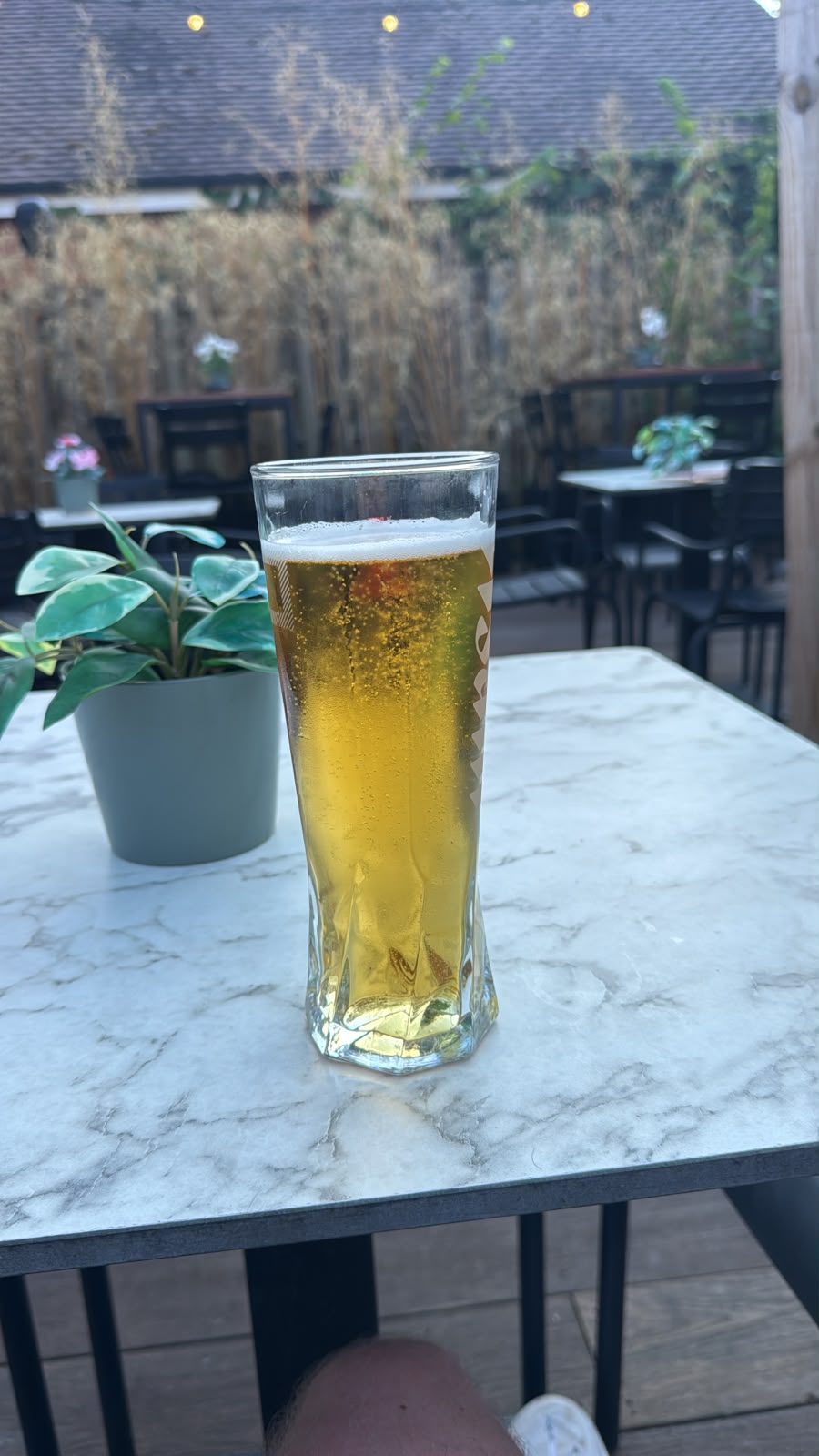 Beer #37078