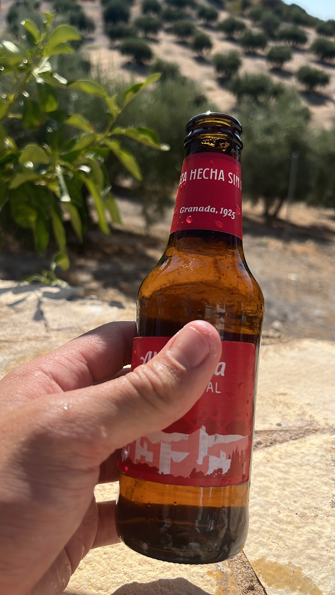 Beer #38311
