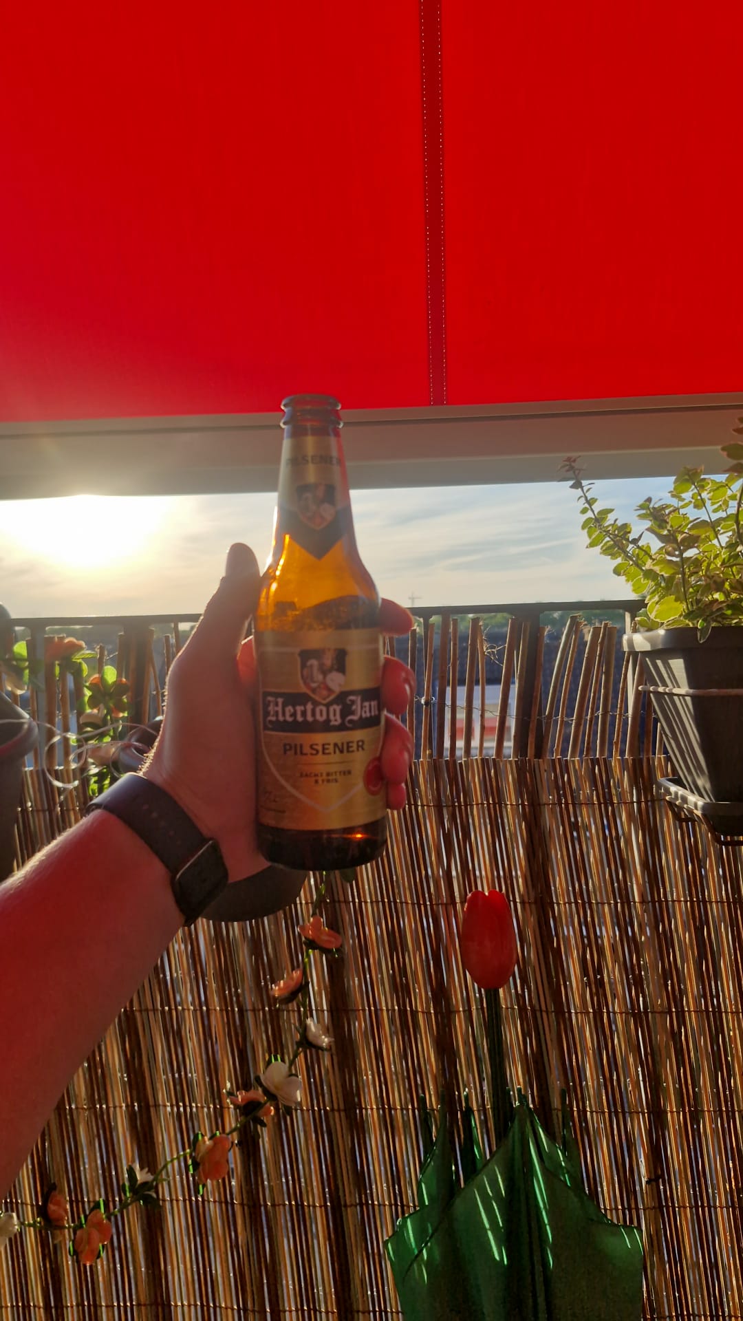 Beer #38923