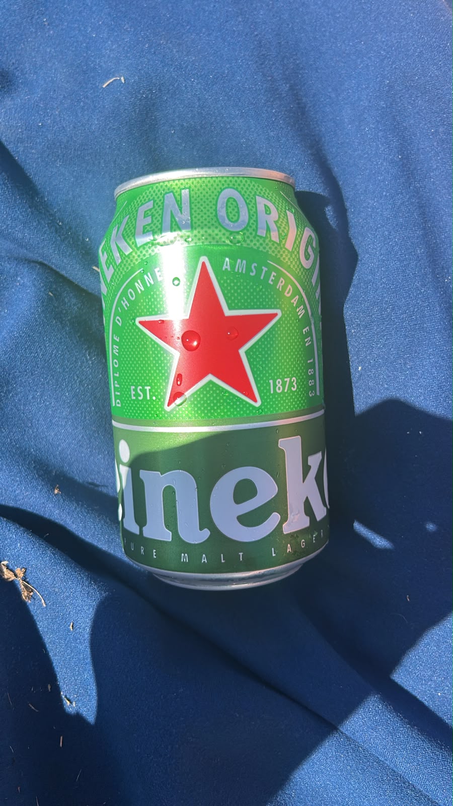 Beer #40559