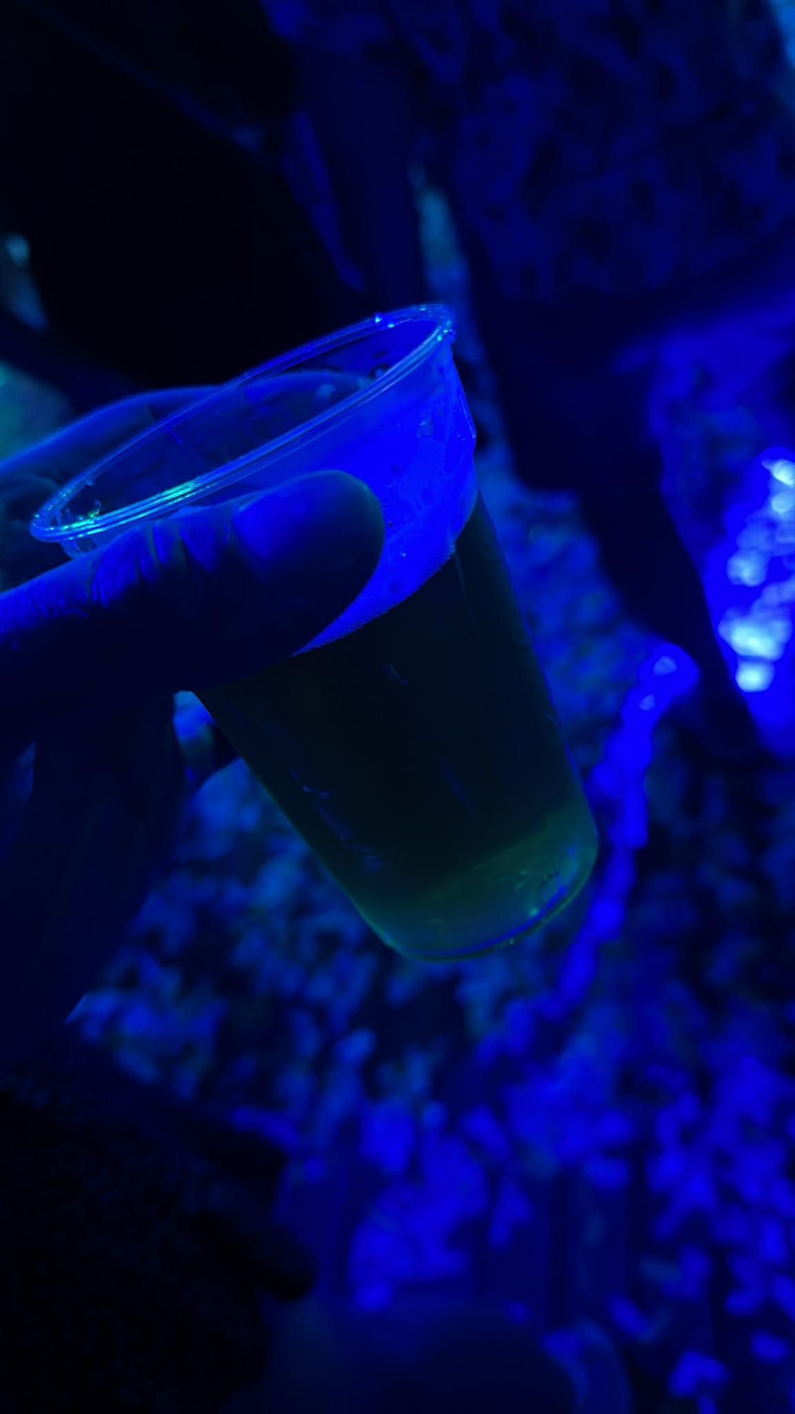 Beer #41377