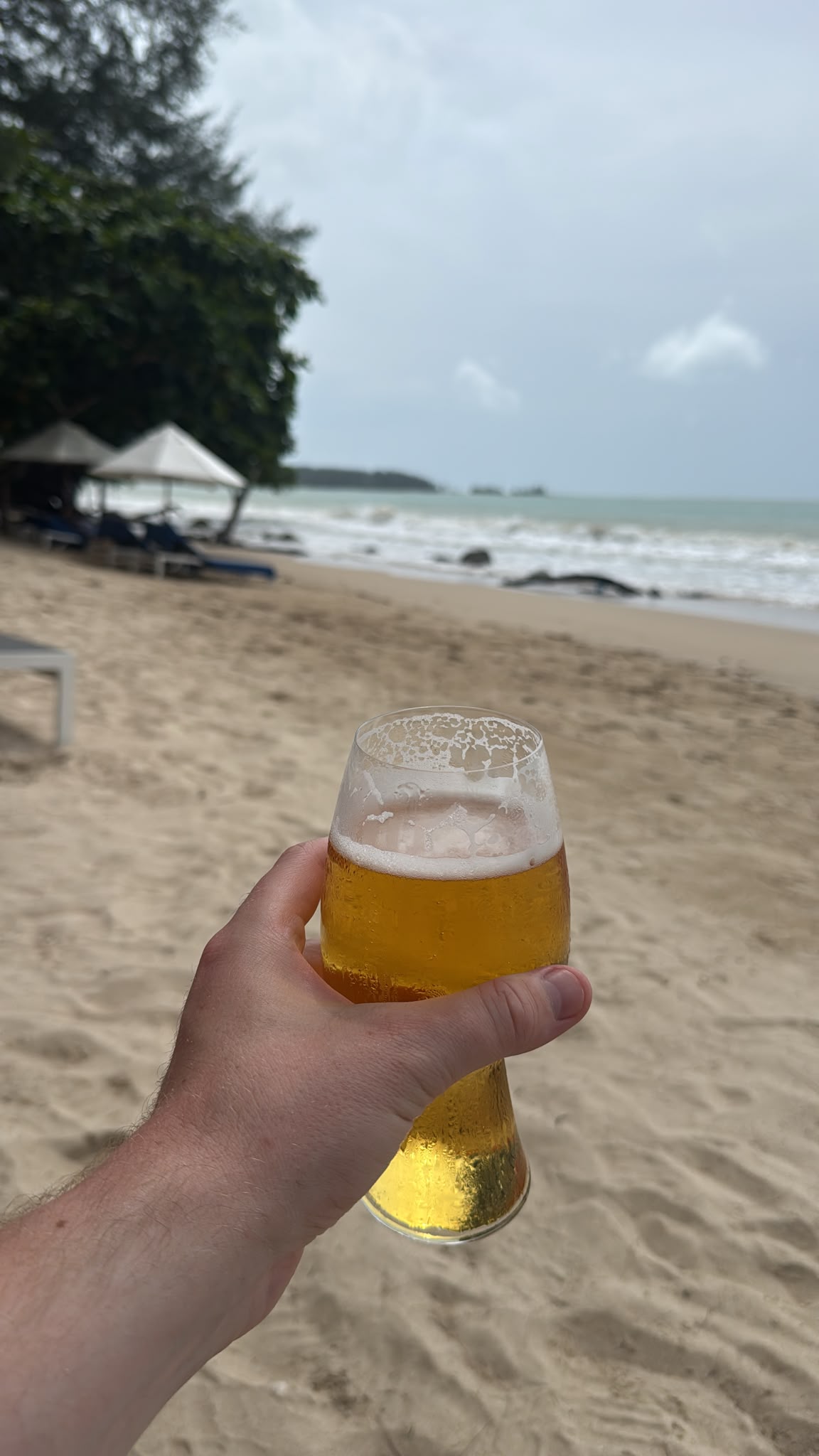 Beer #43193