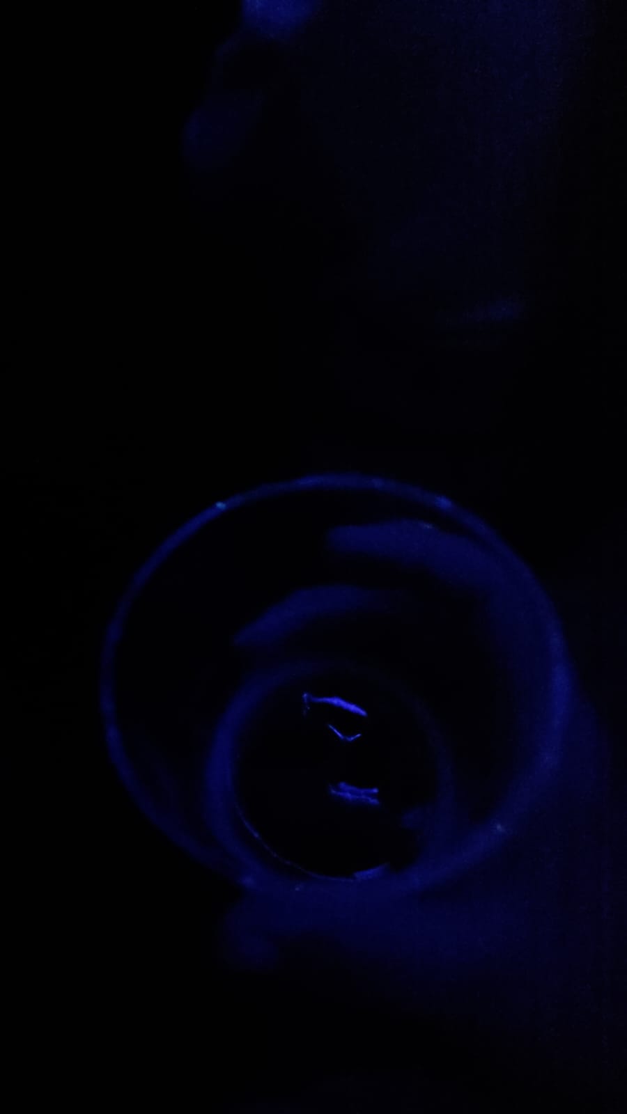 Beer #44542