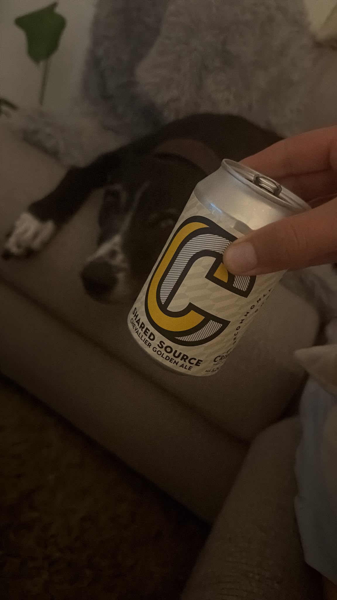 Beer #44610