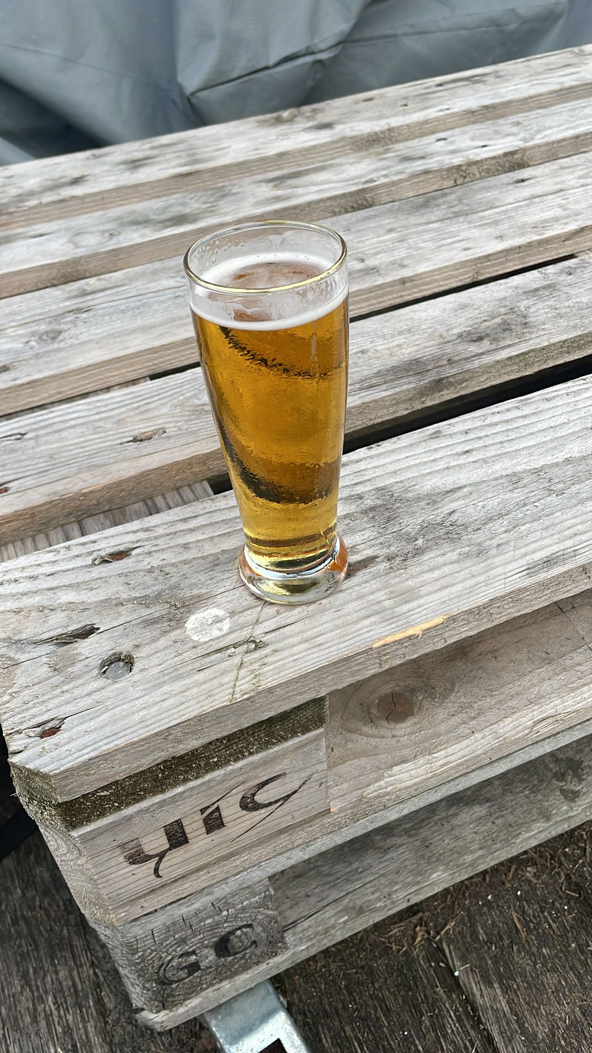 Beer #46317
