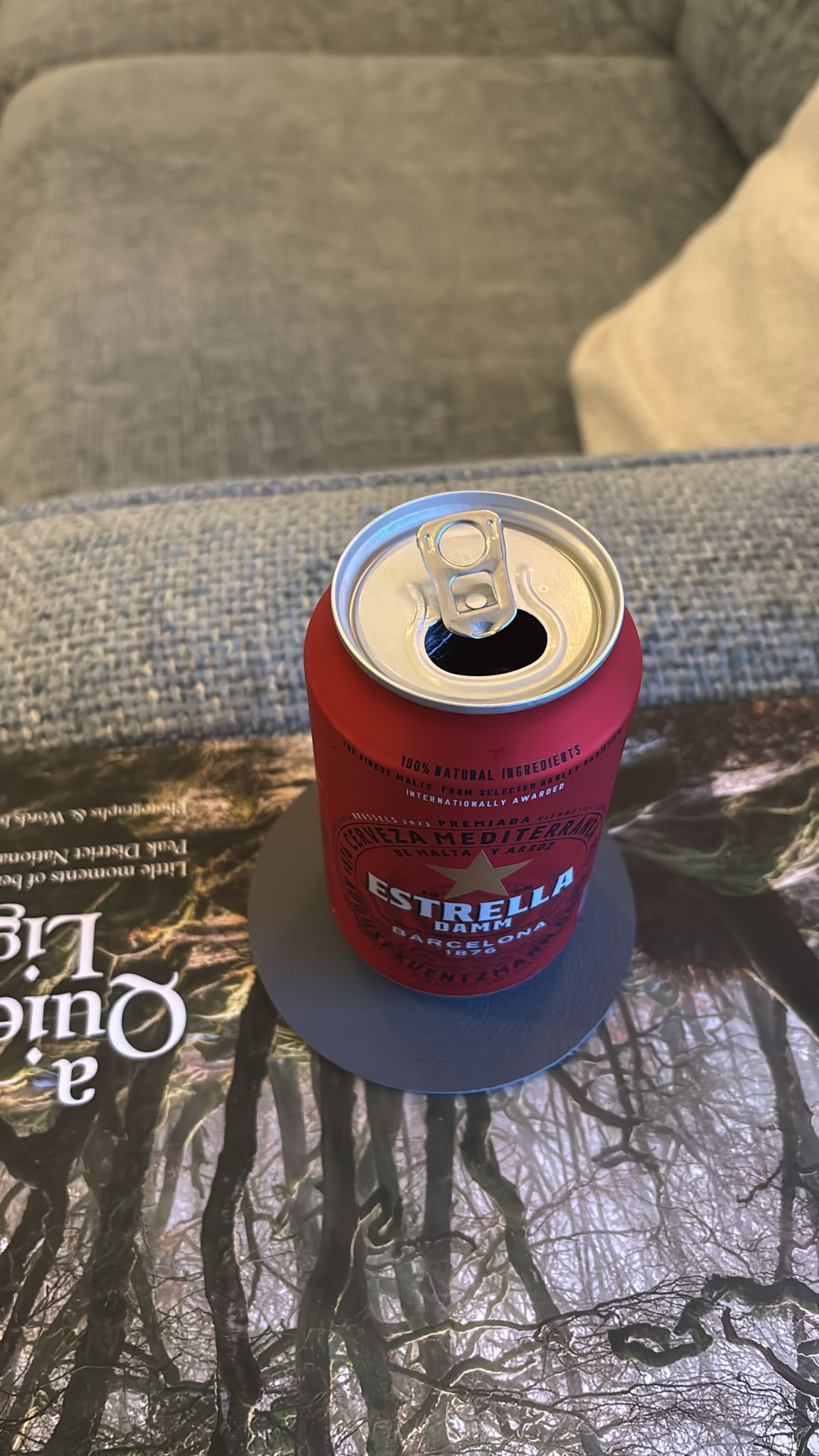 Beer #47733
