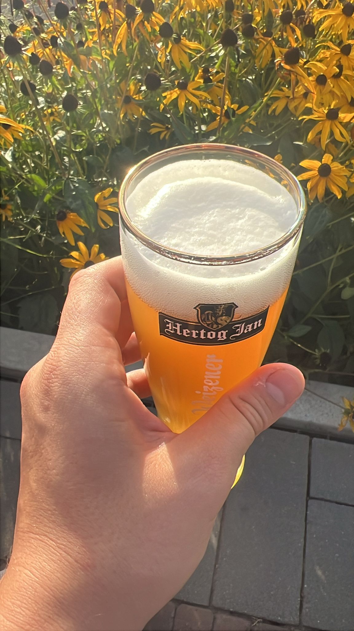 Beer #48493