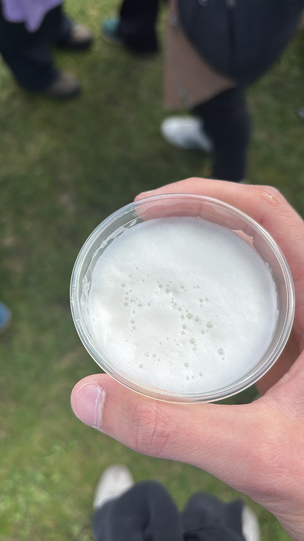 Beer #49403