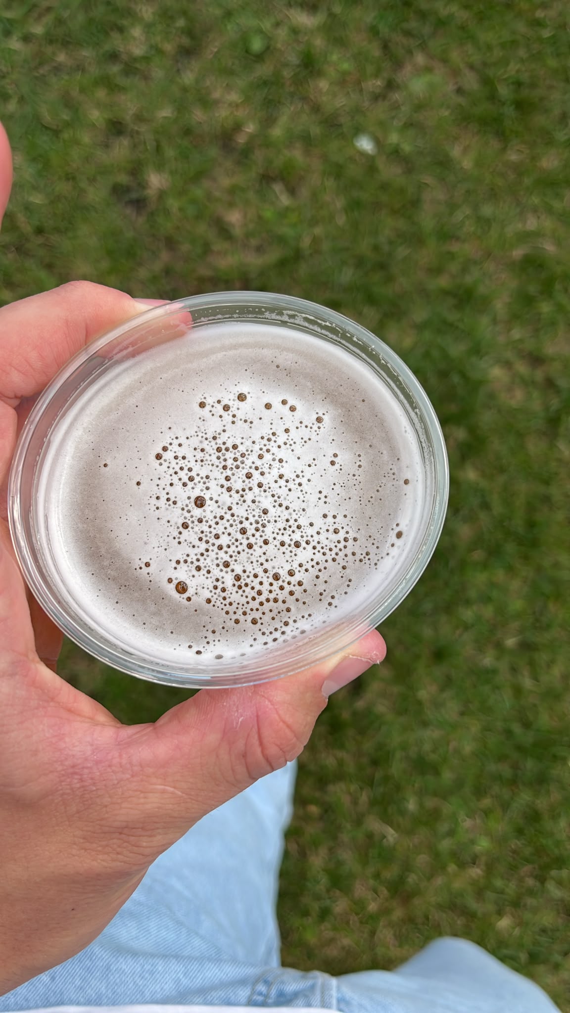 Beer #49436