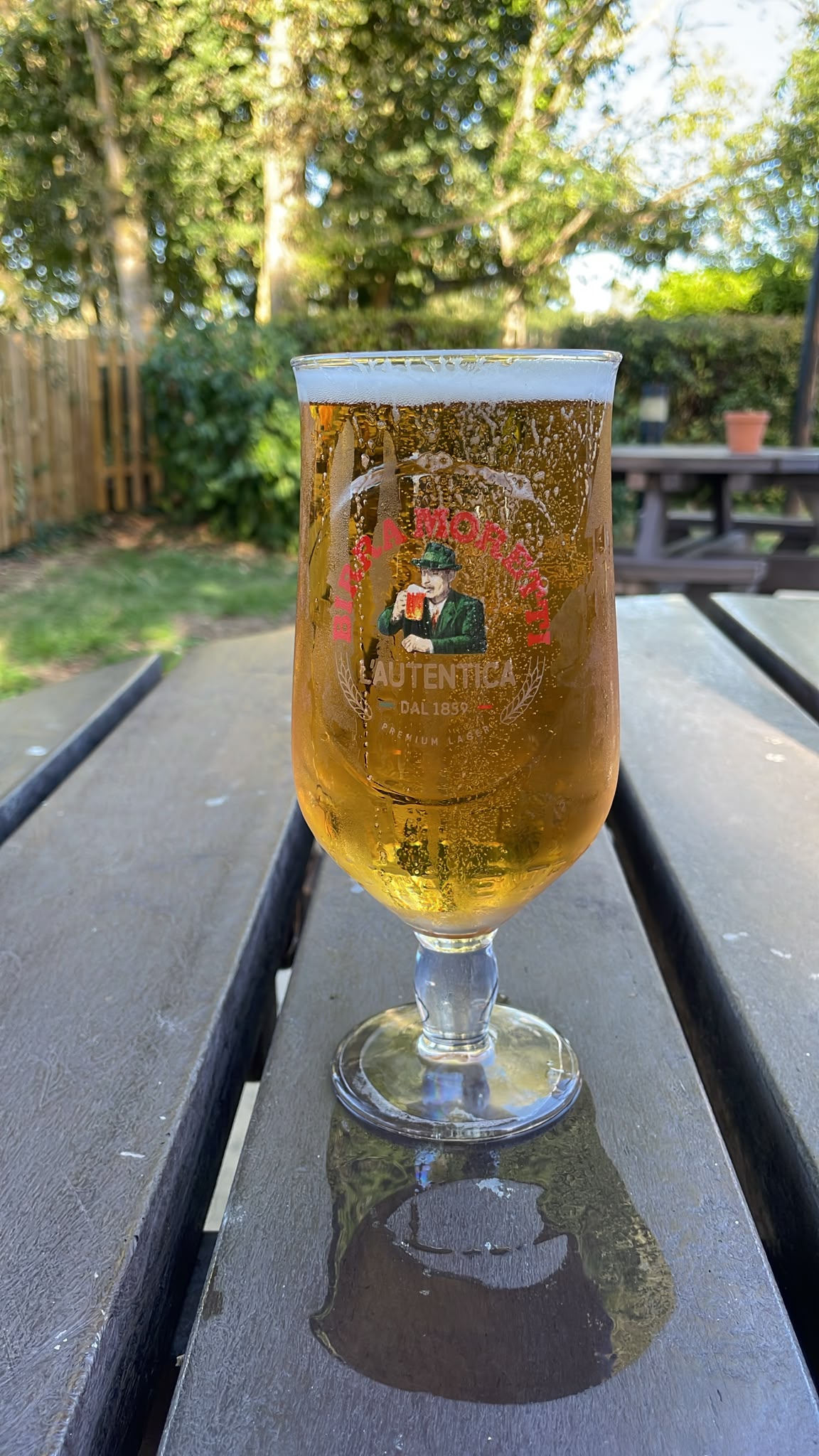Beer #49497
