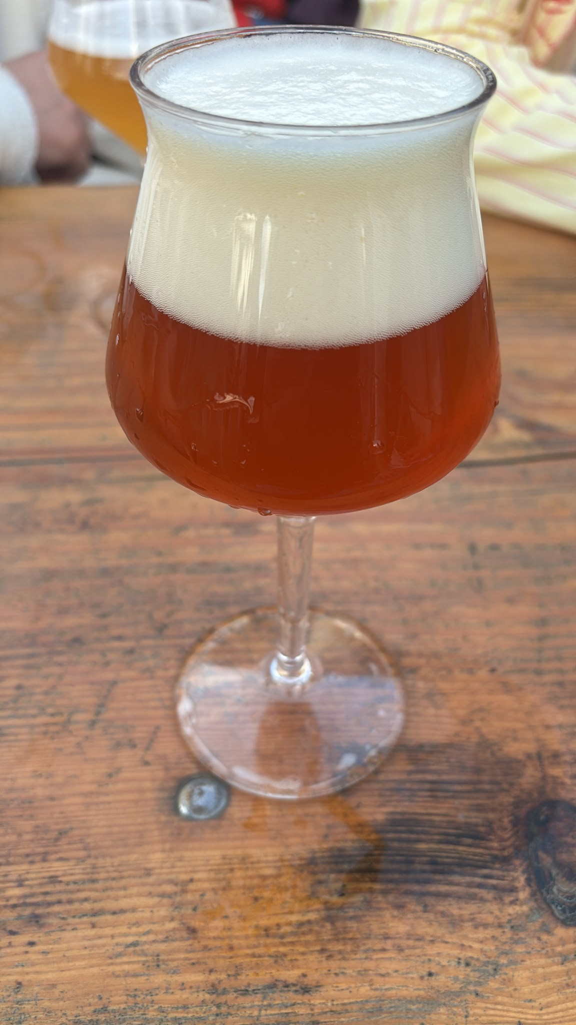 Beer #49563