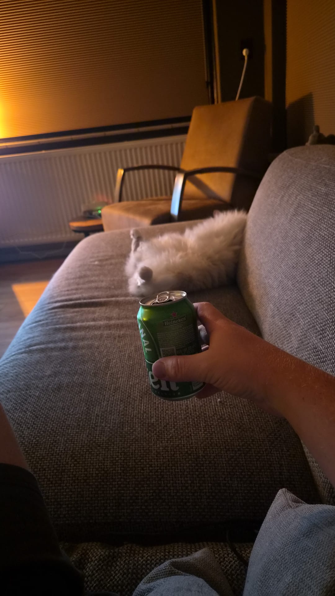 Beer #50436