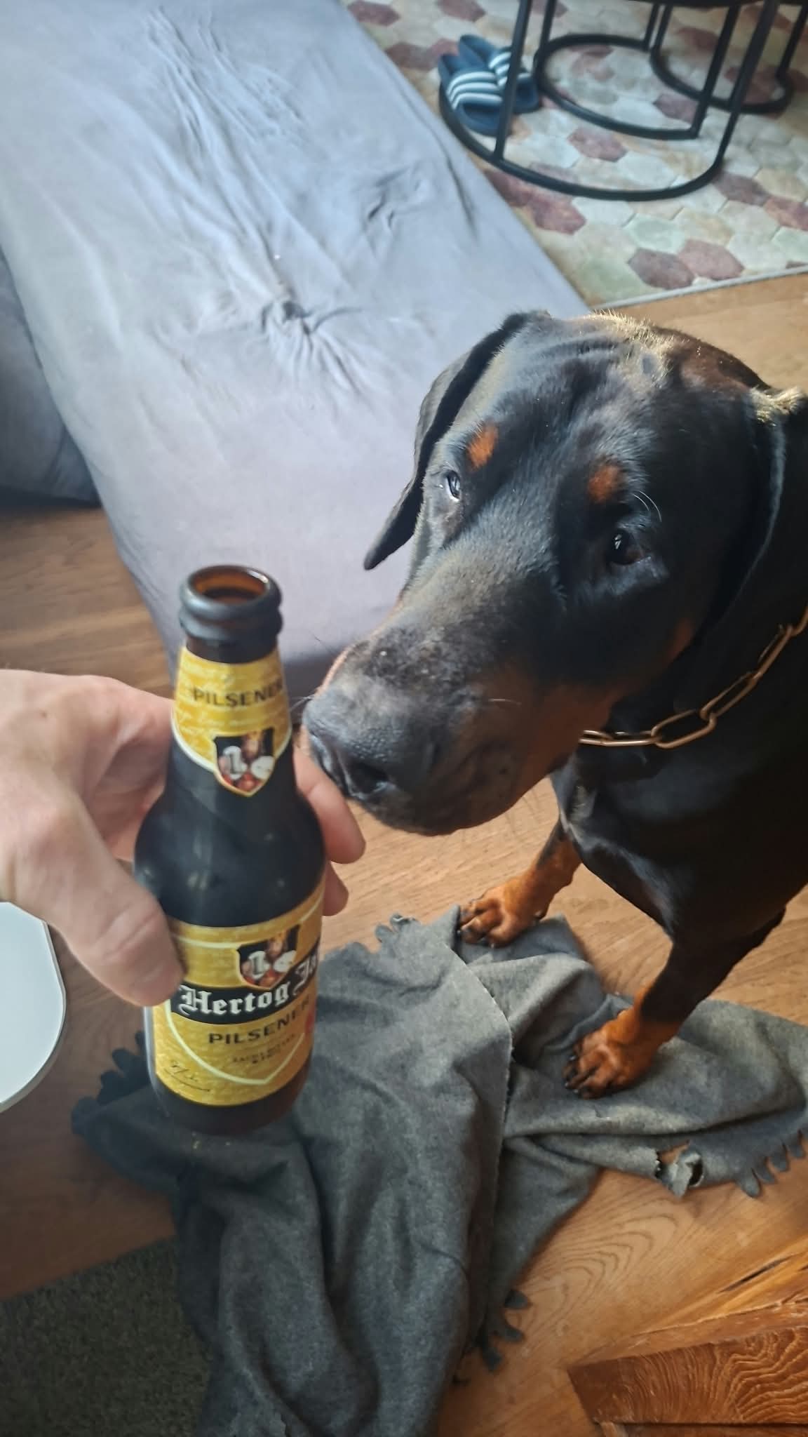 Beer #50684