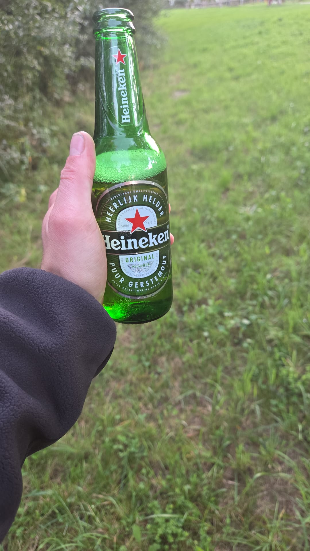 Beer #51270