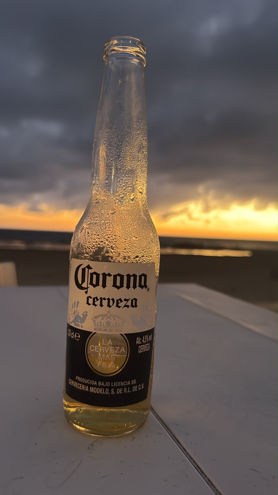 Beer #51373
