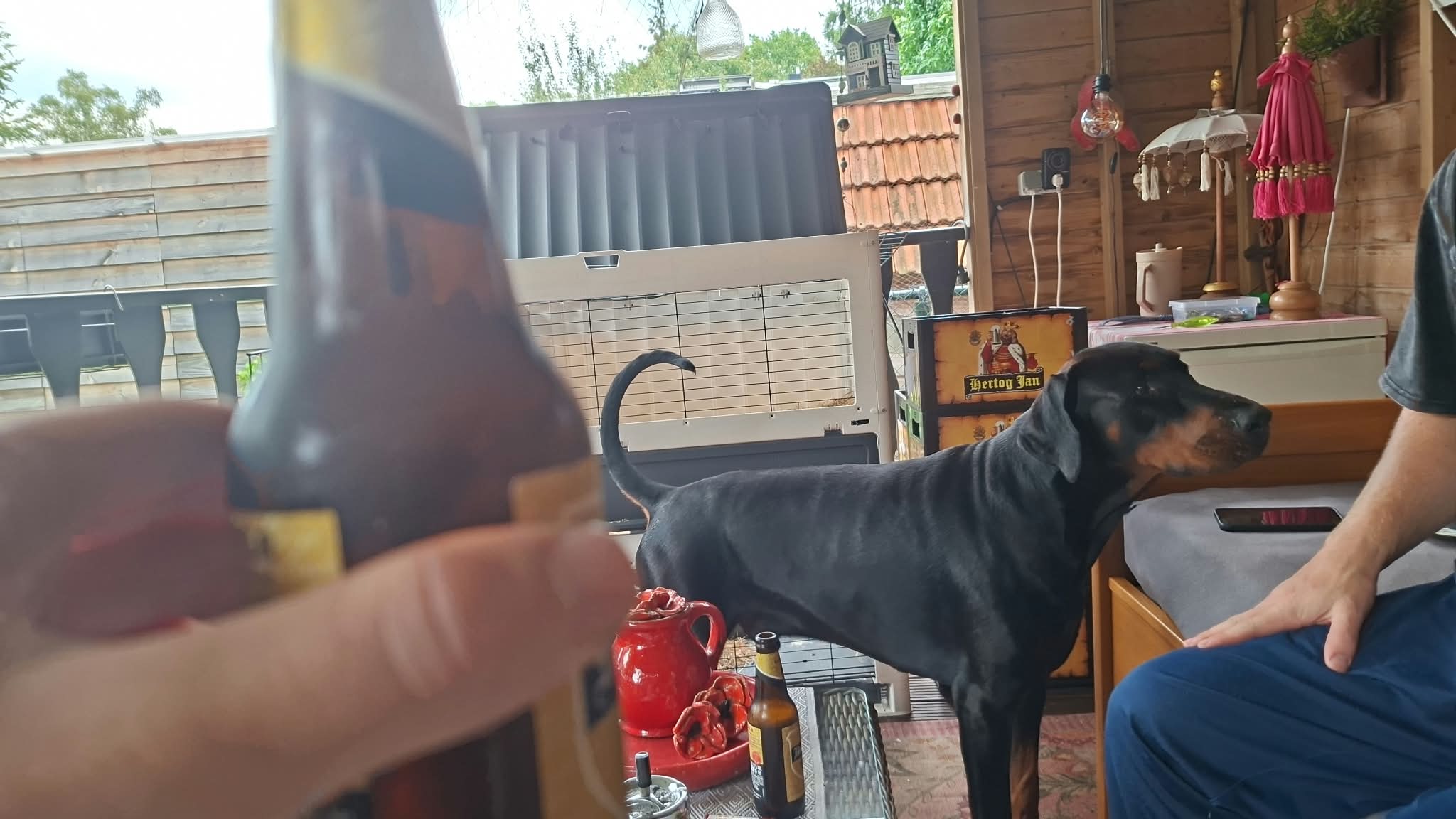 Beer #51719