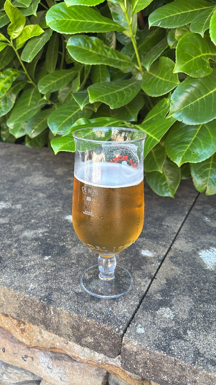 Beer #52476