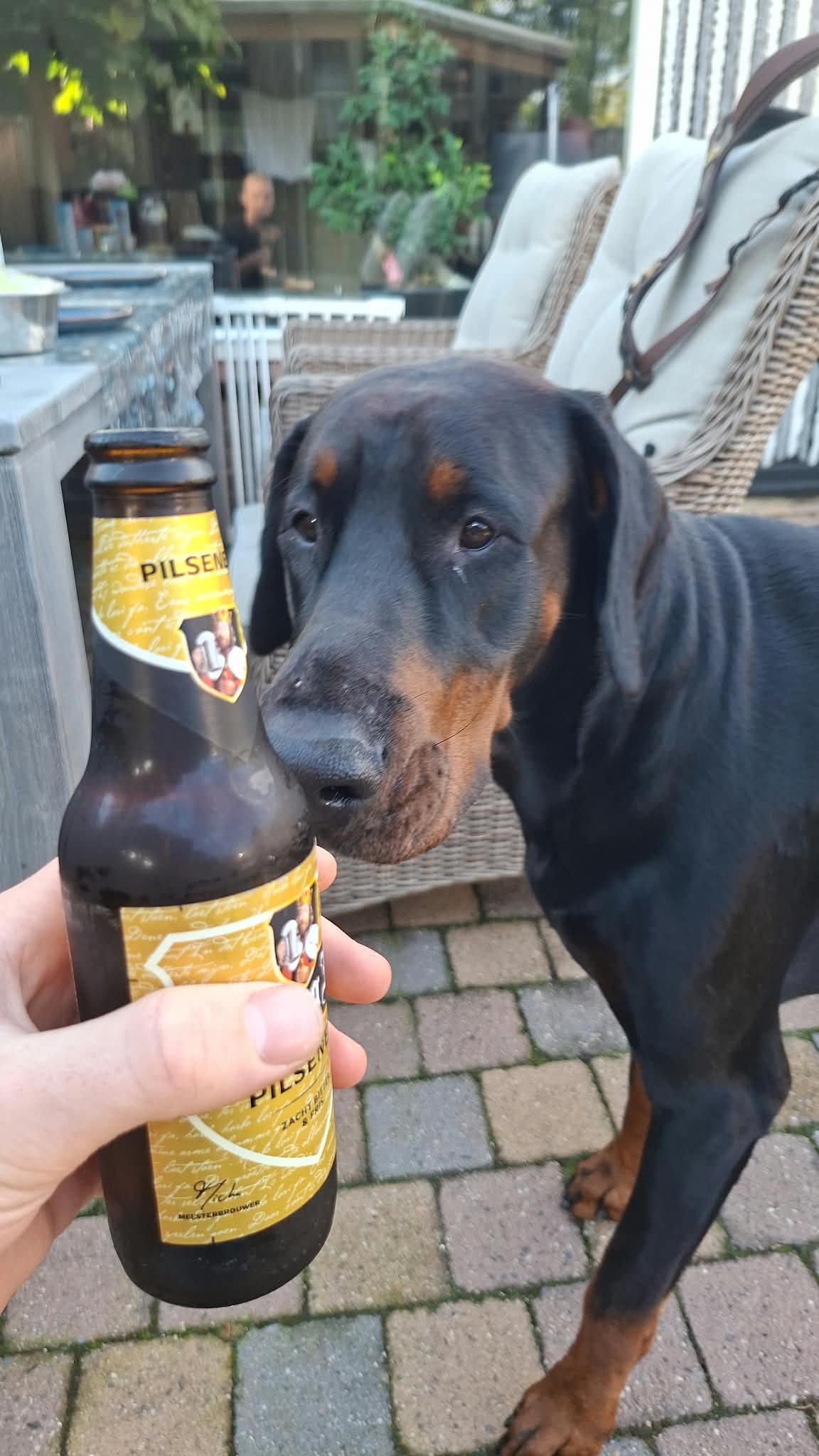 Beer #52579