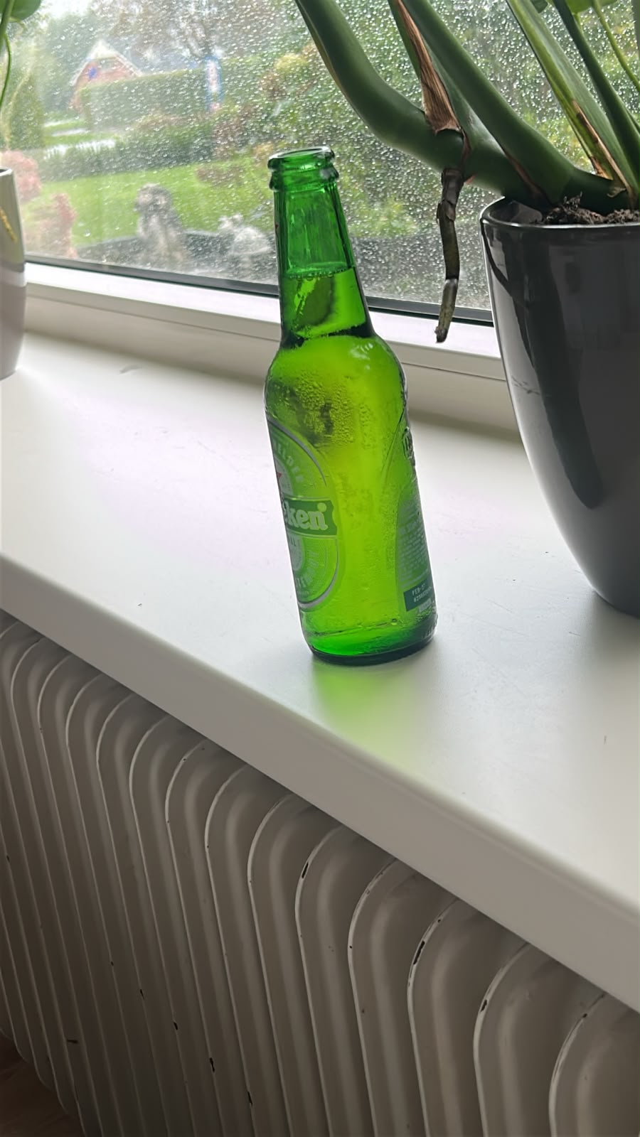 Beer #54370