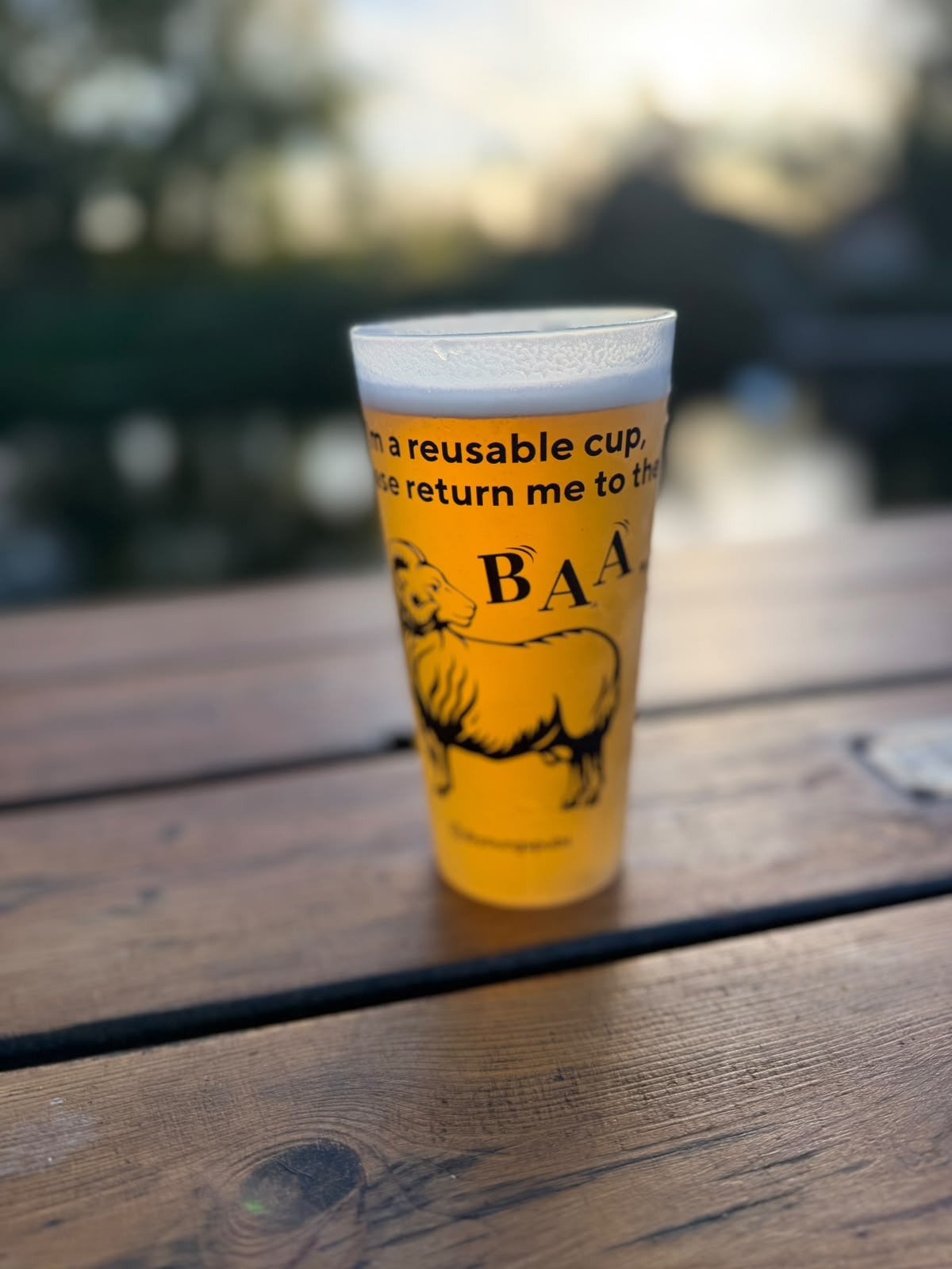 Beer #55037