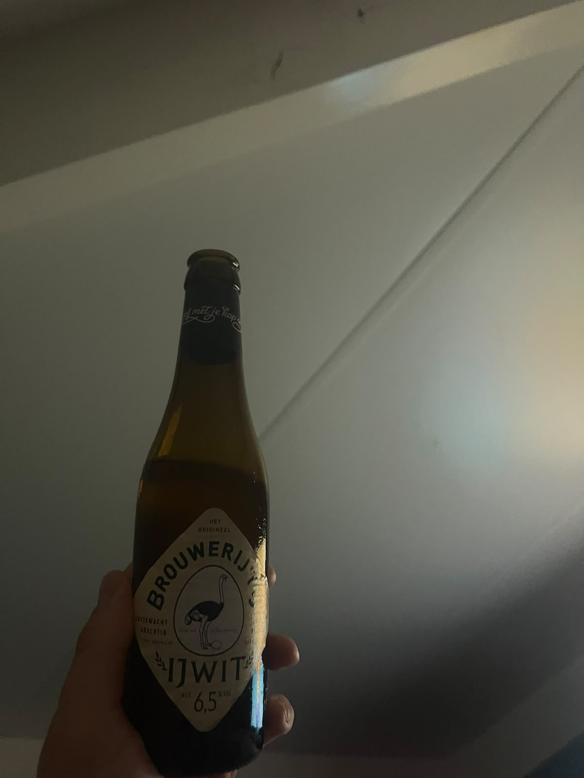 Beer #55287