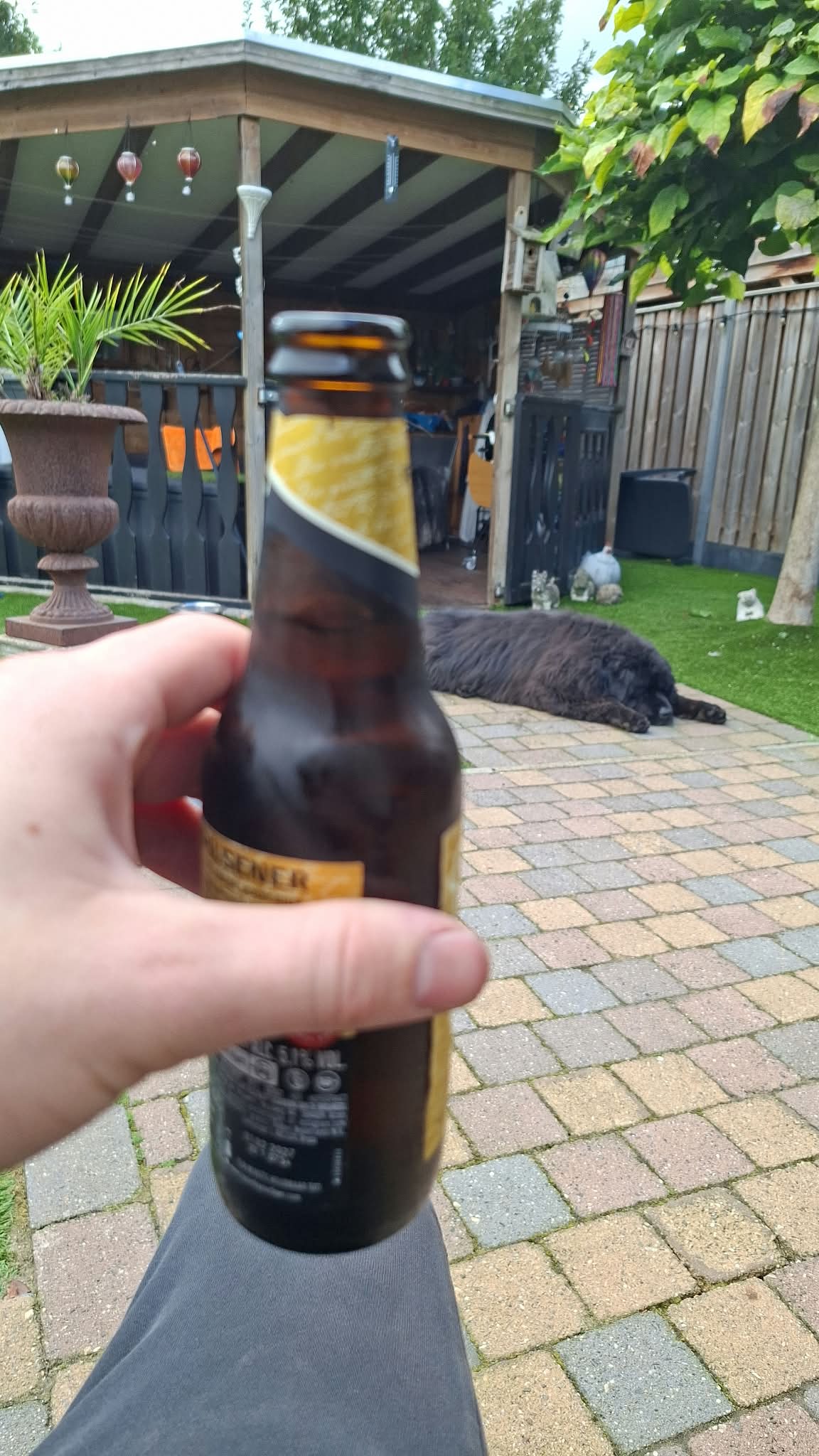 Beer #56540