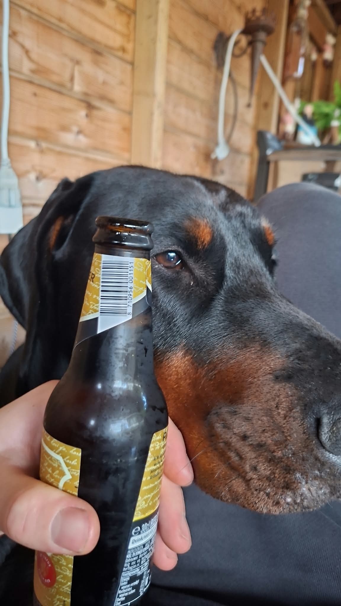 Beer #56648