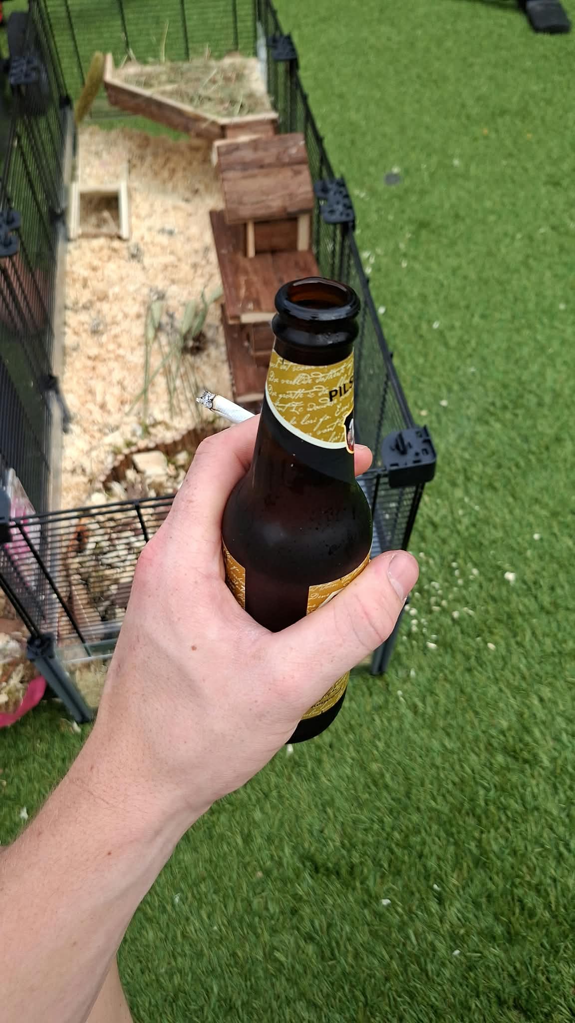 Beer #57316