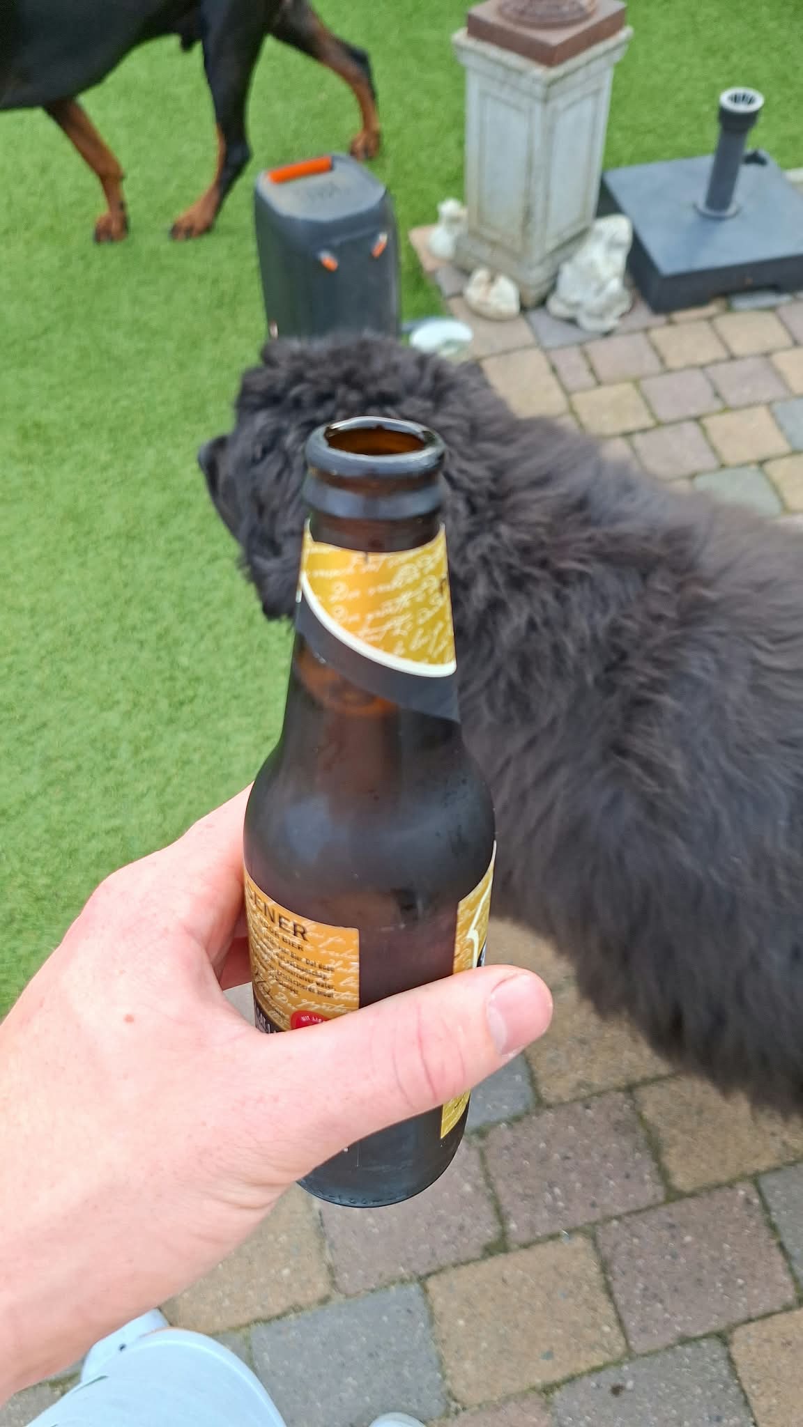 Beer #57371