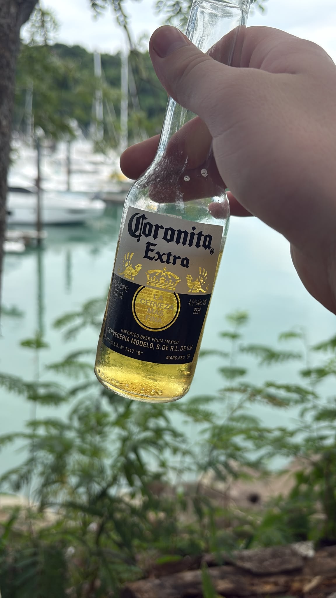 Beer #57388