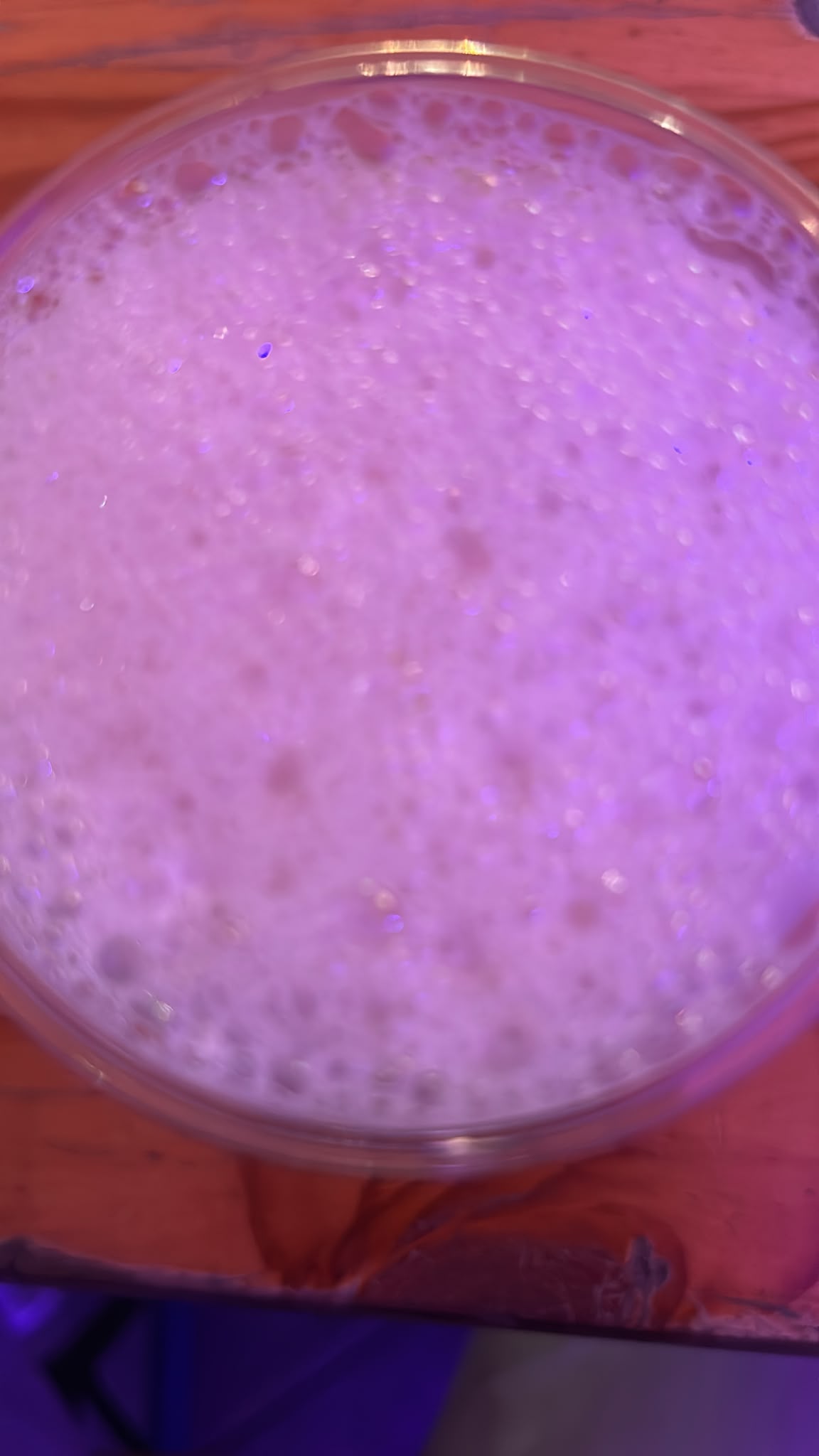 Beer #60253
