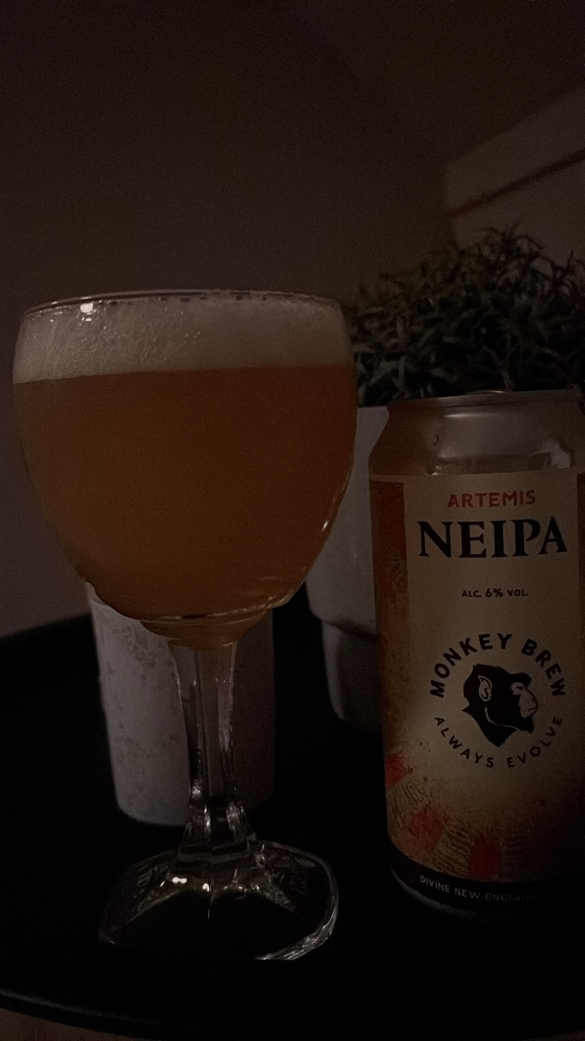 Beer #60342