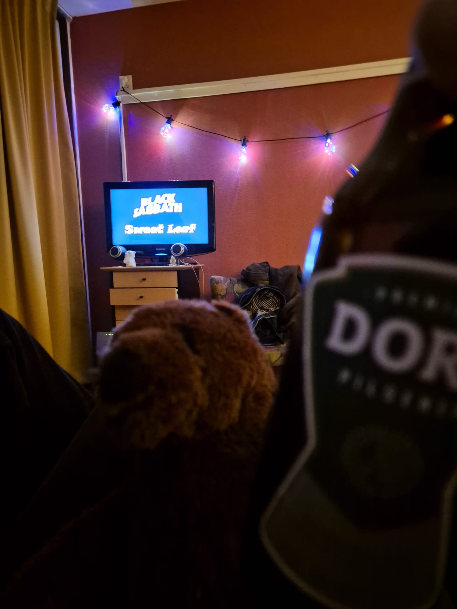 Beer #61904