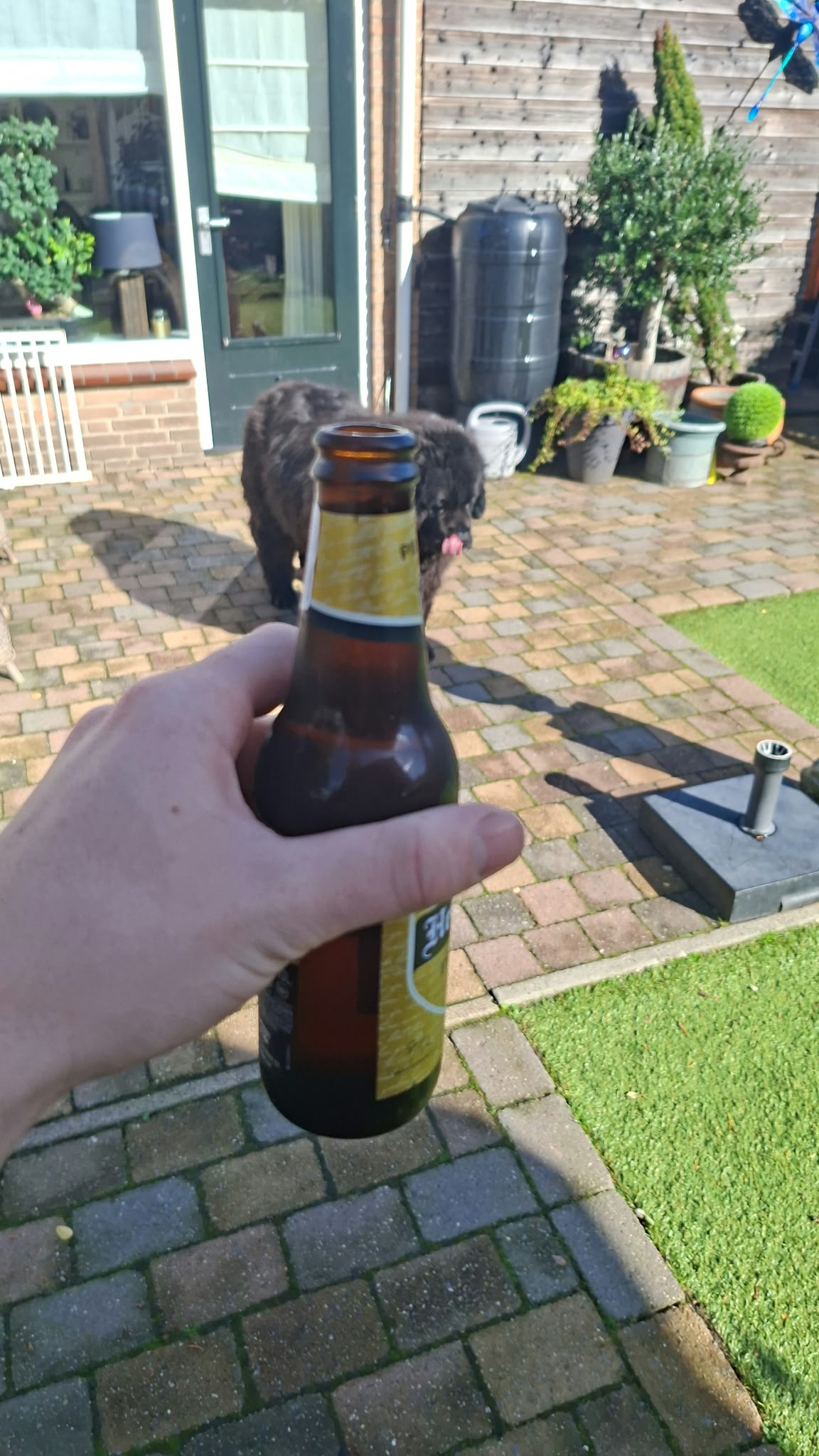 Beer #62015