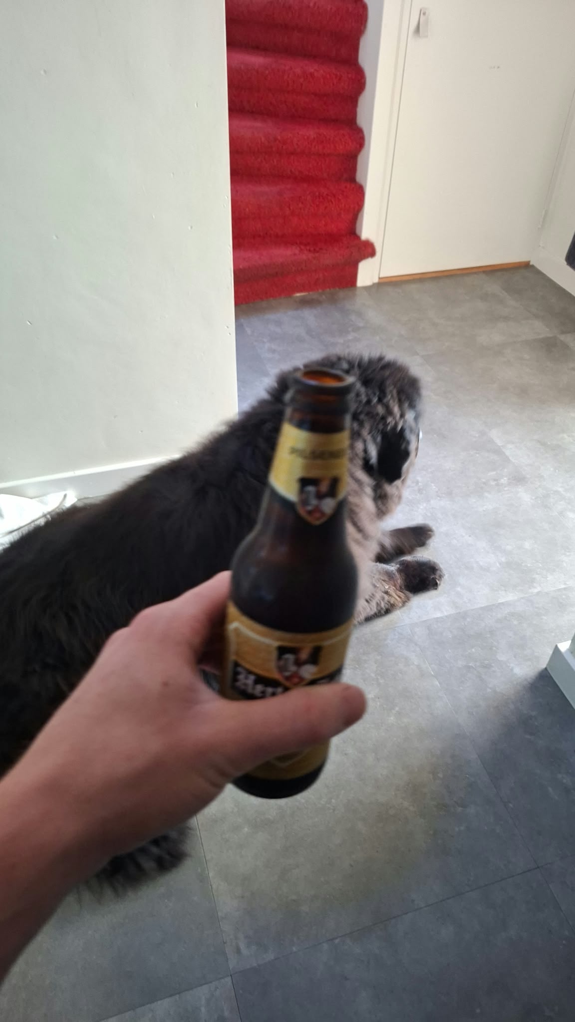 Beer #62082