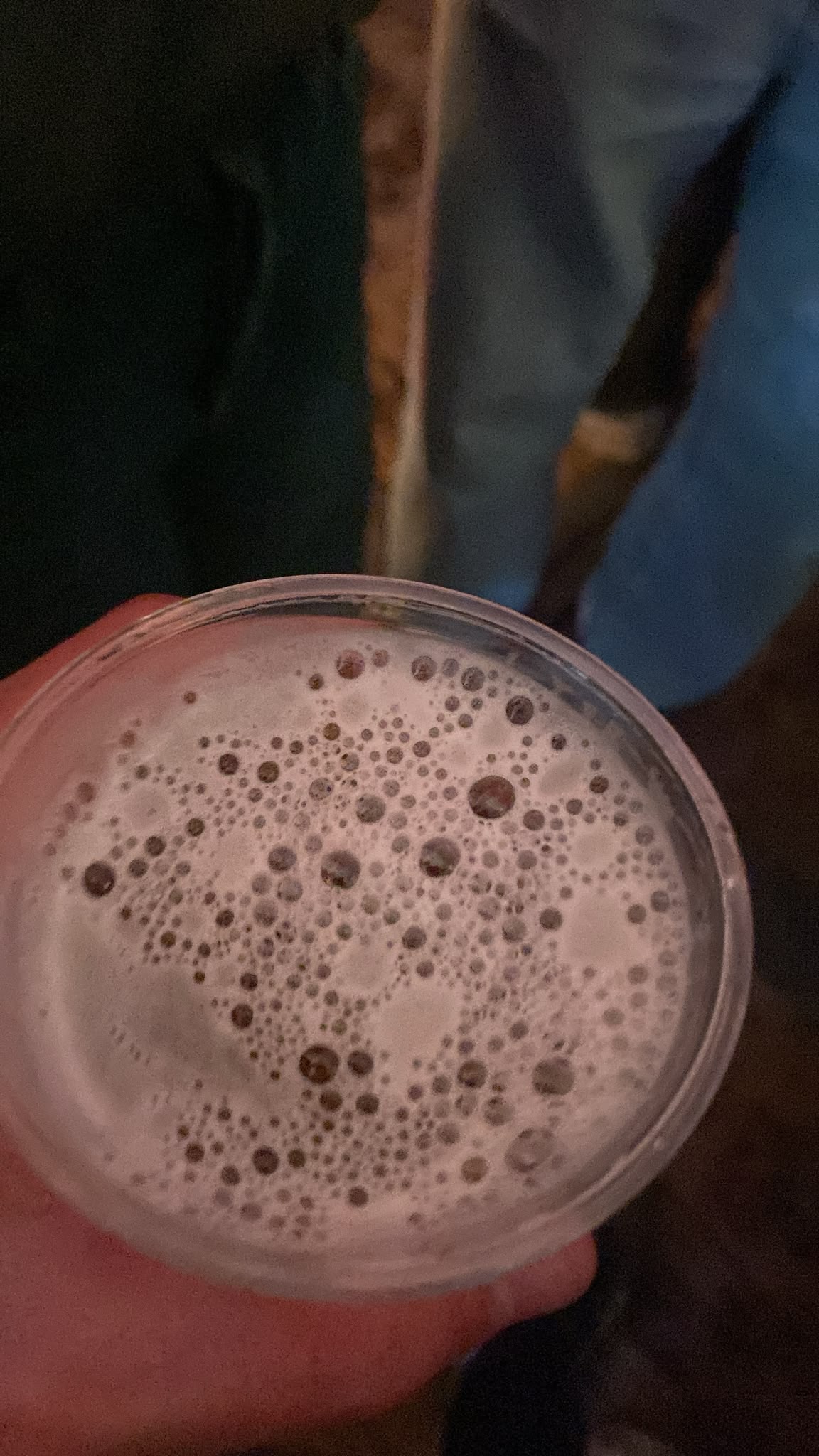 Beer #62405