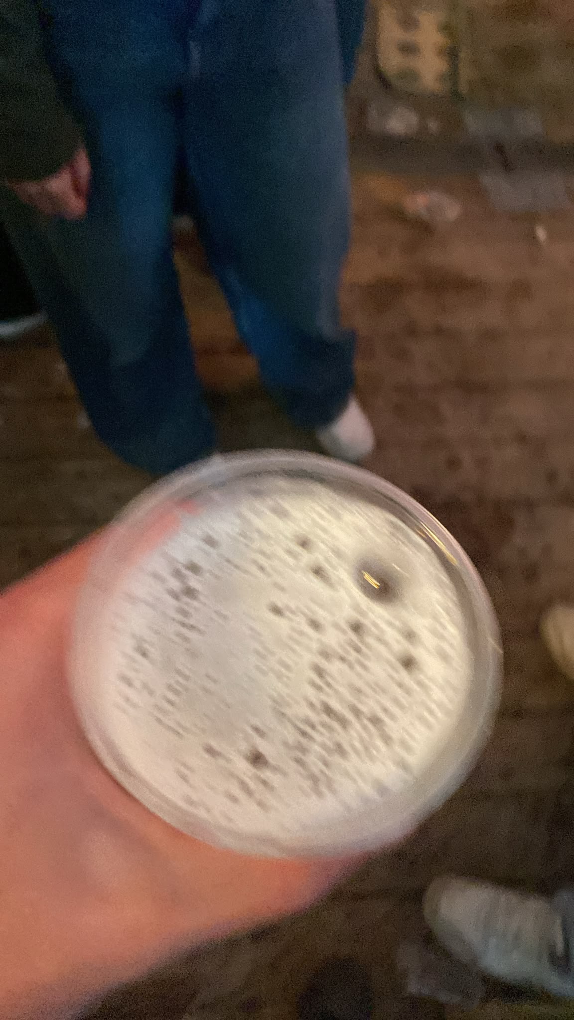 Beer #62423