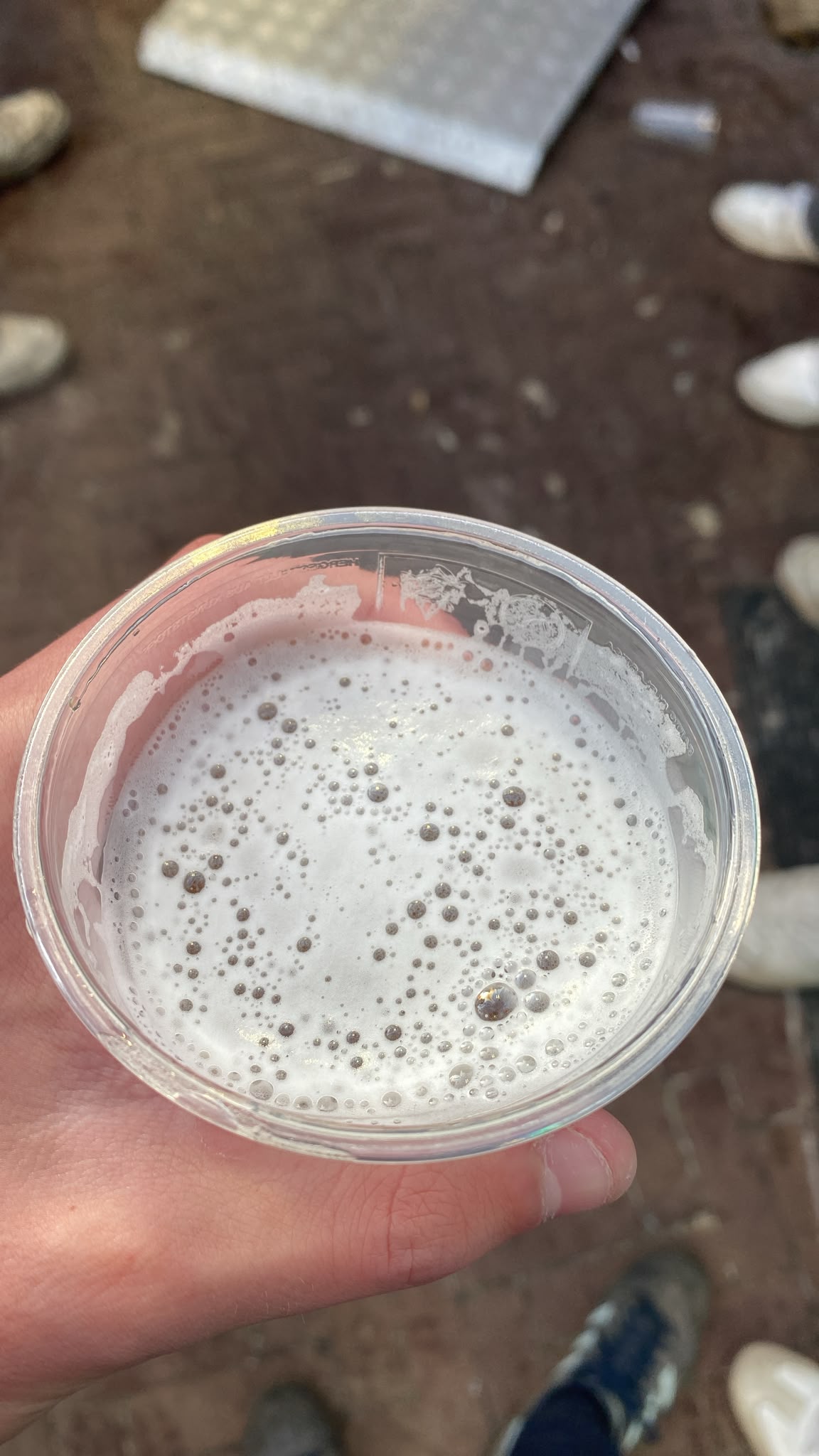 Beer #62430