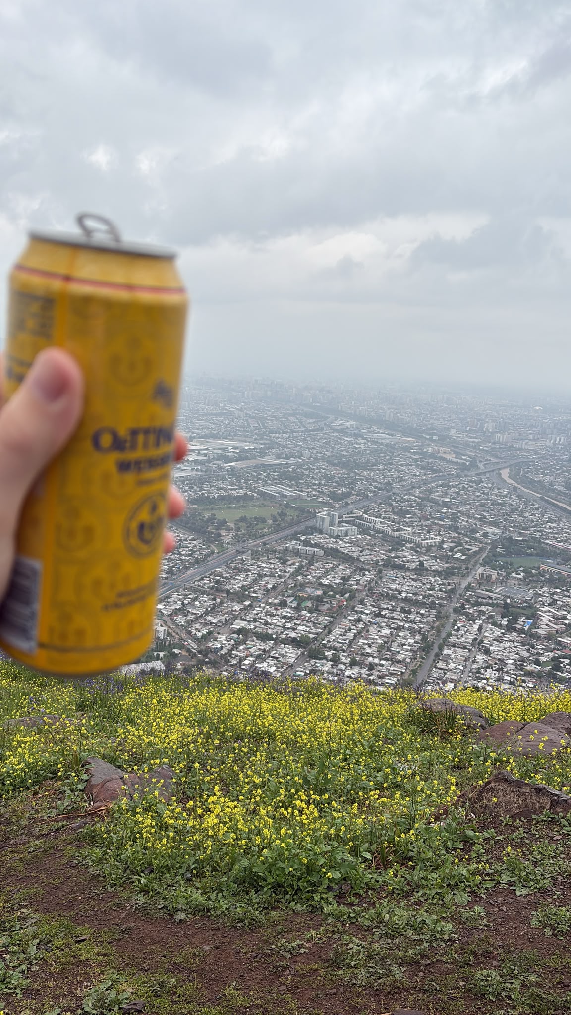 Beer #62464