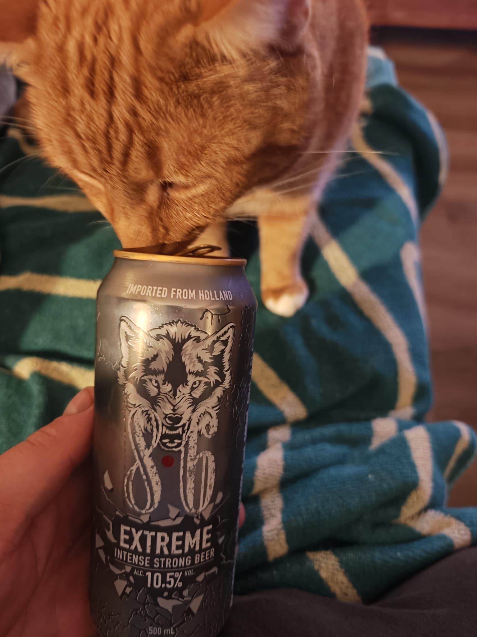 Beer #63549