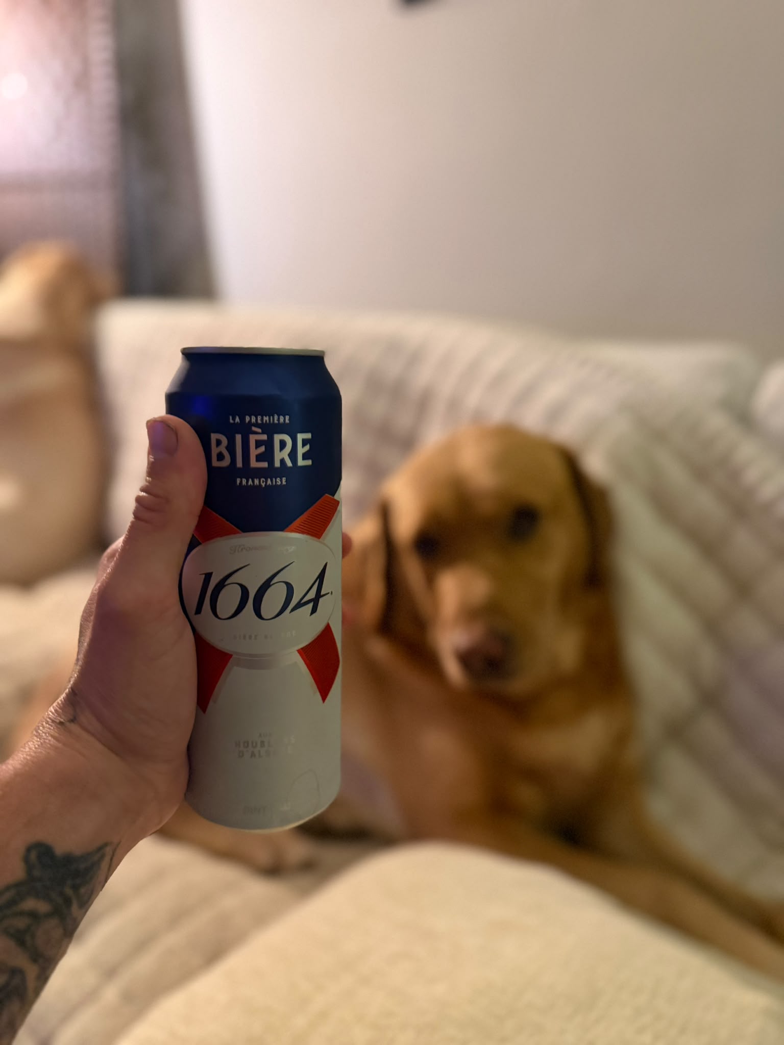 Beer #64300