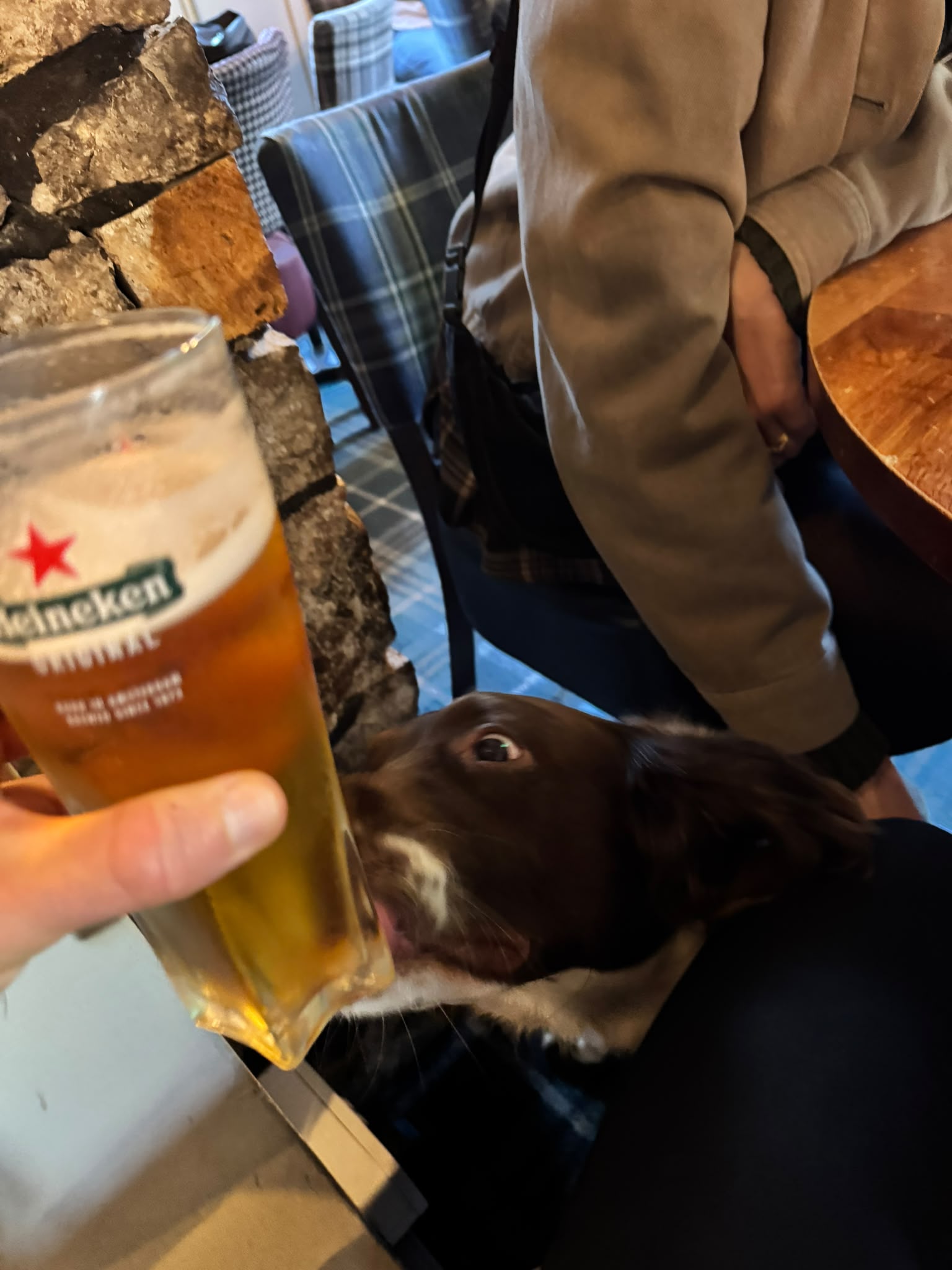 Beer #64615