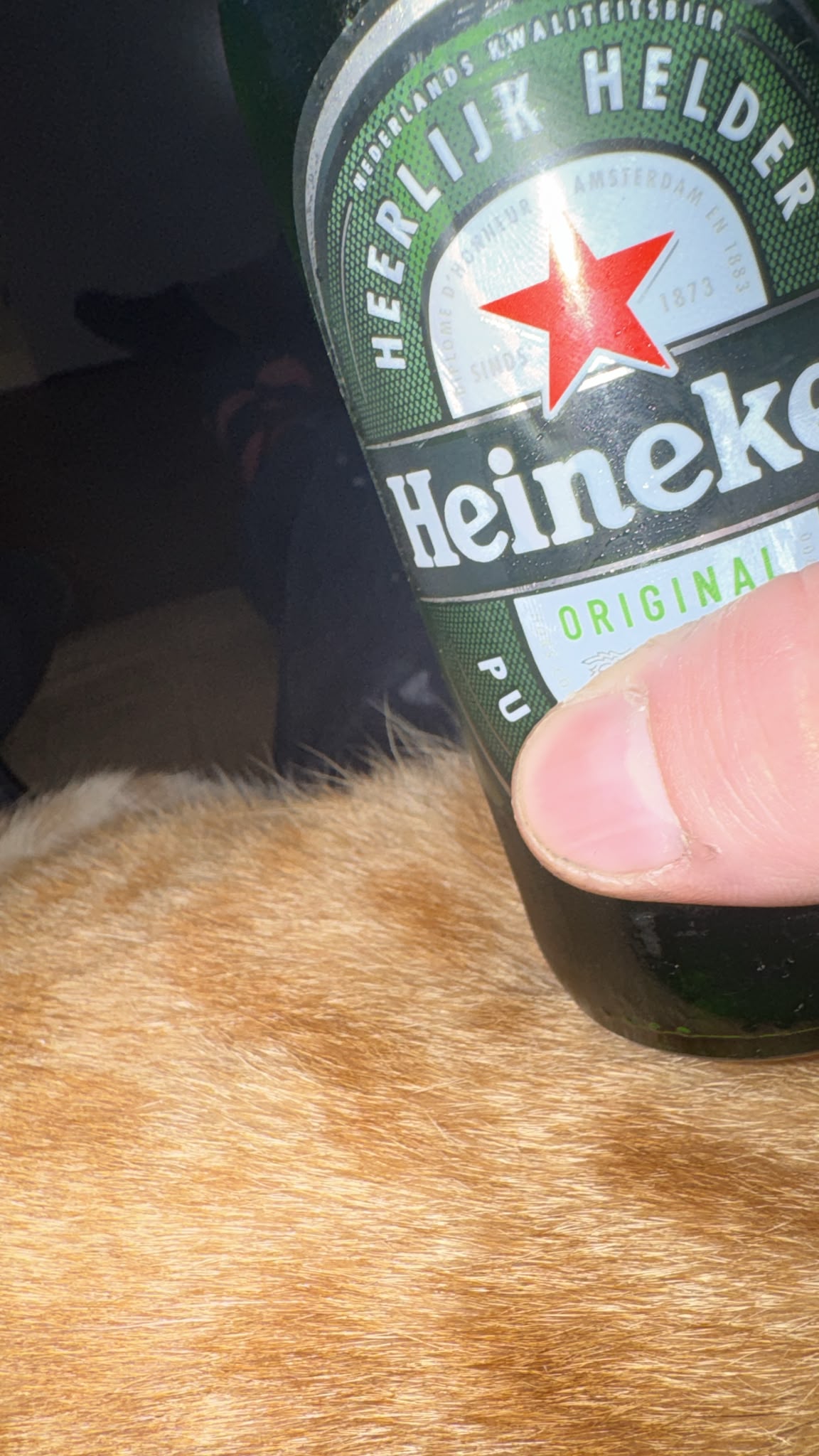 Beer #64693