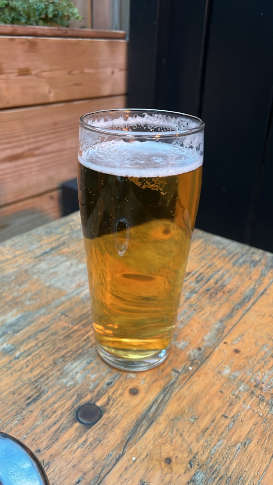 Beer #65008